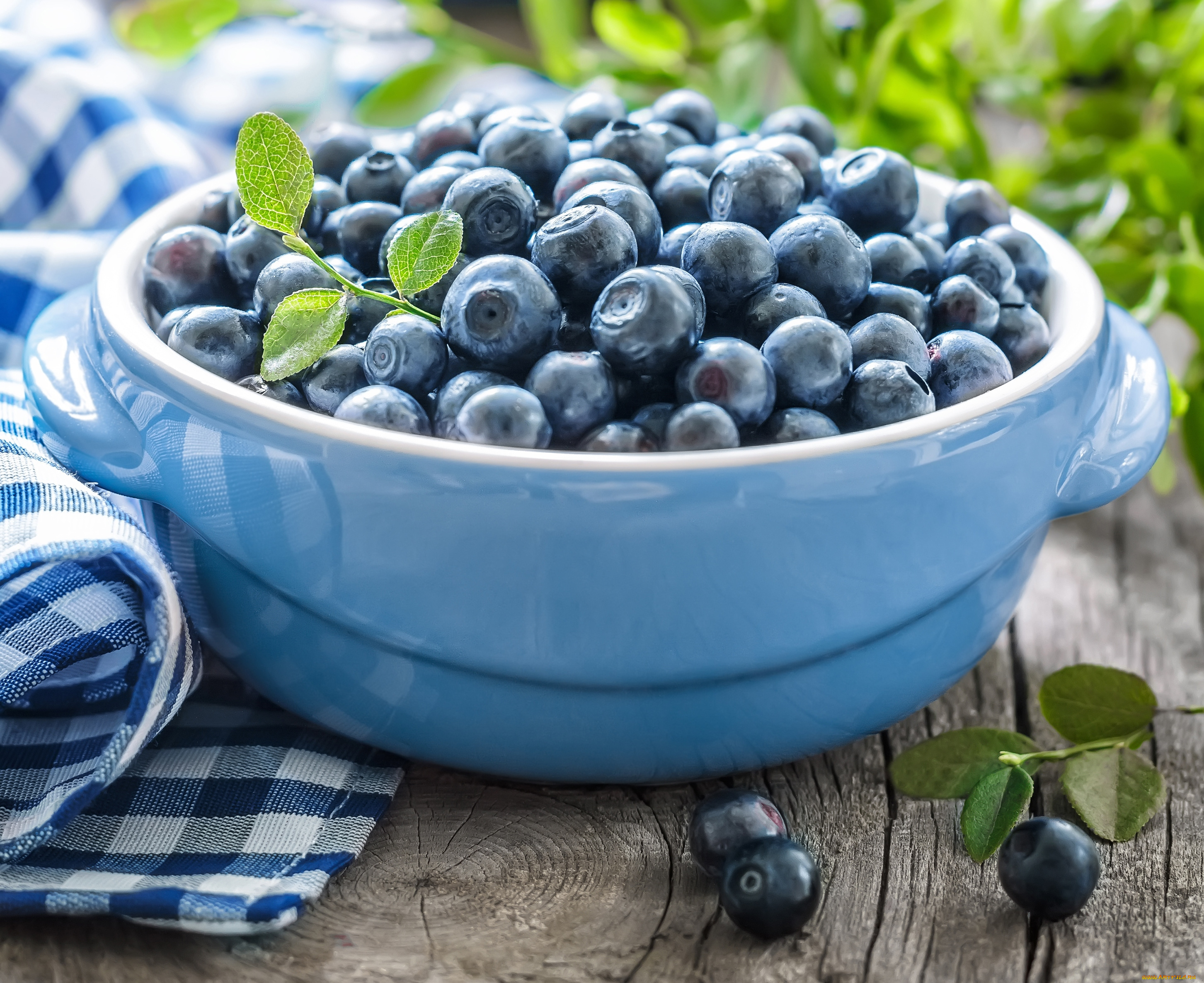 еда, голубика, , черника, napkin, bowl, leaves, blueberries, салфетка, миска, fresh, berries, листики, черника, свежие, ягоды
