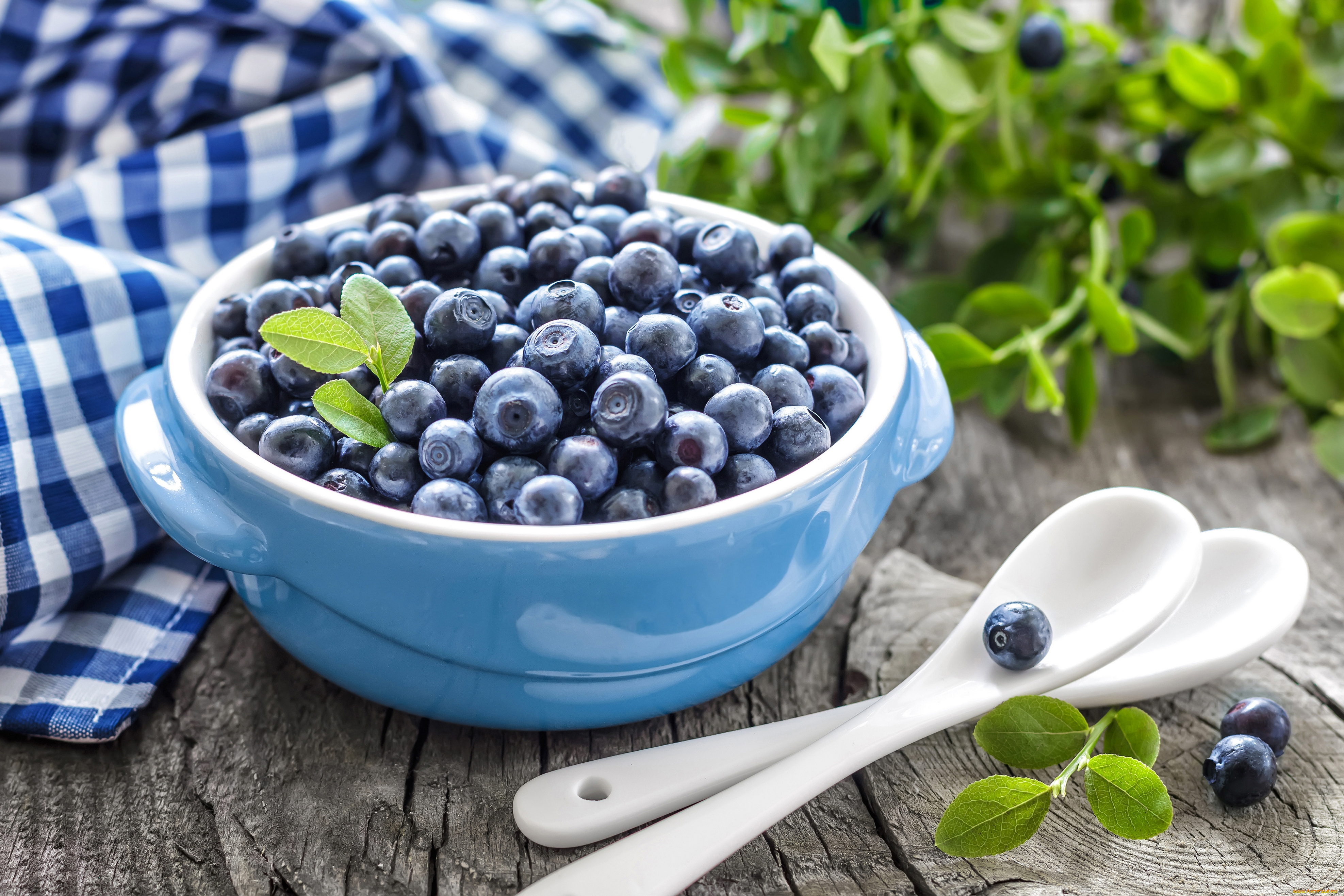 еда, голубика, , черника, spoons, napkin, салфетка, миска, листики, bowl, leaves, blueberries, fresh, berries, ложки, черника, свежие, ягоды