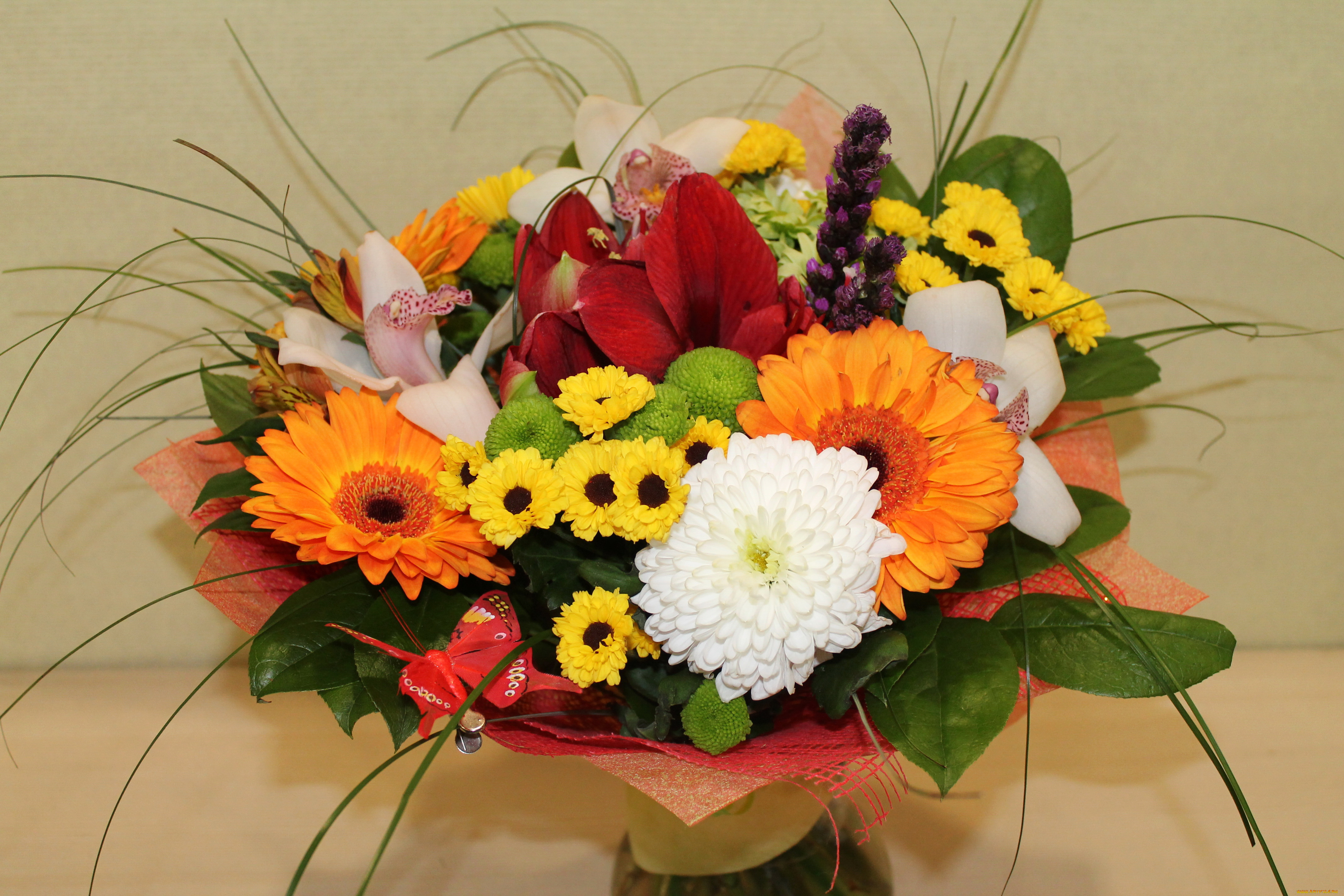 цветы, букеты, , композиции, хризантемы, орхидеи, герберы, букет