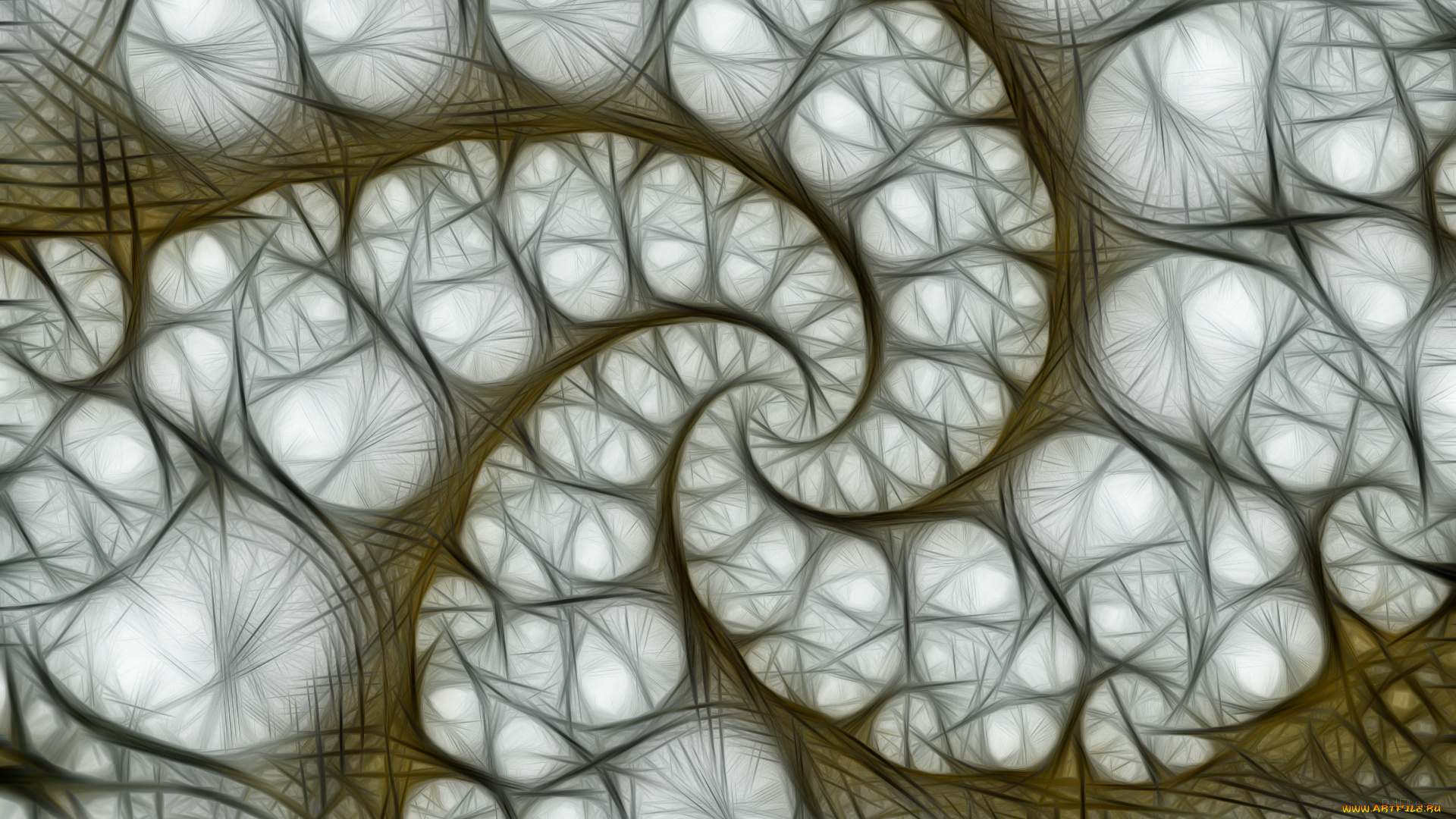 3д, графика, фракталы, , fractal, цвета, фон, узор