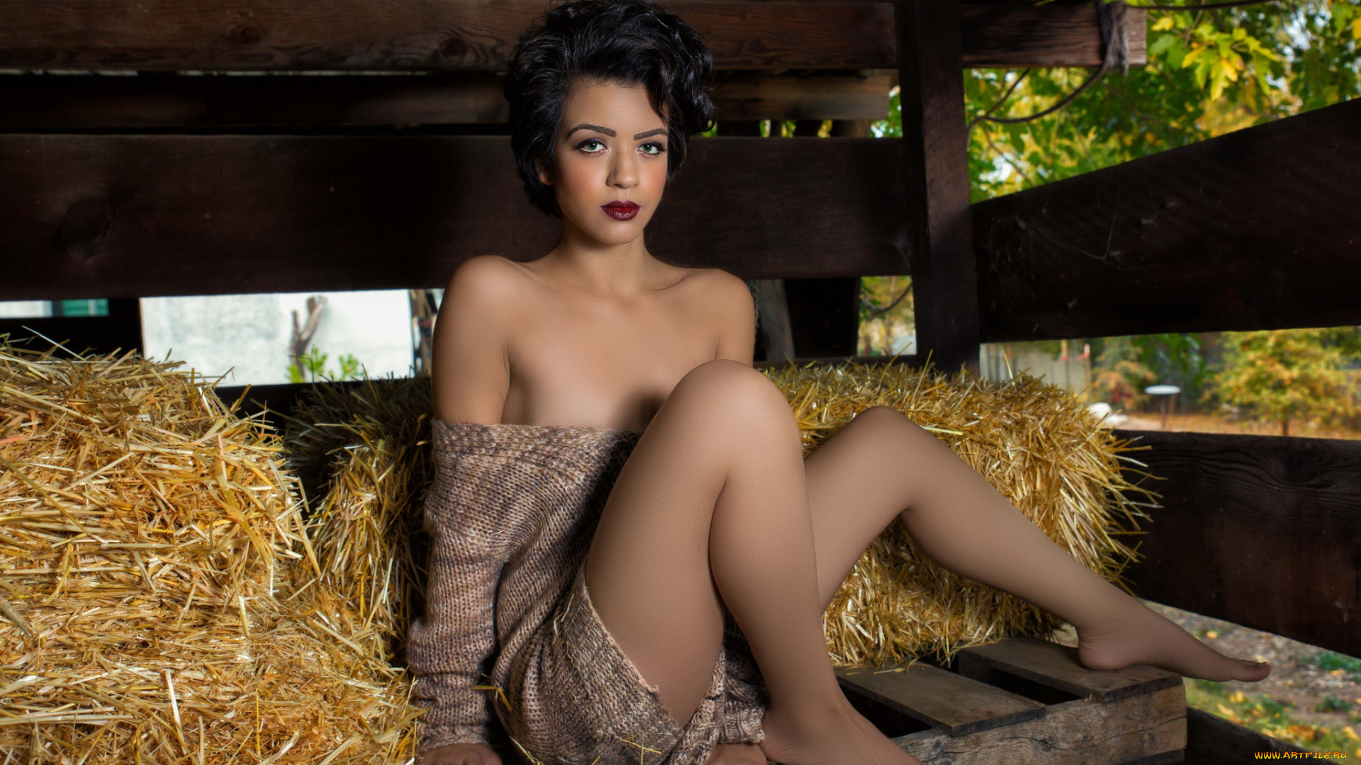 девушки, -unsort, , брюнетки, , шатенки, взгляд, поза