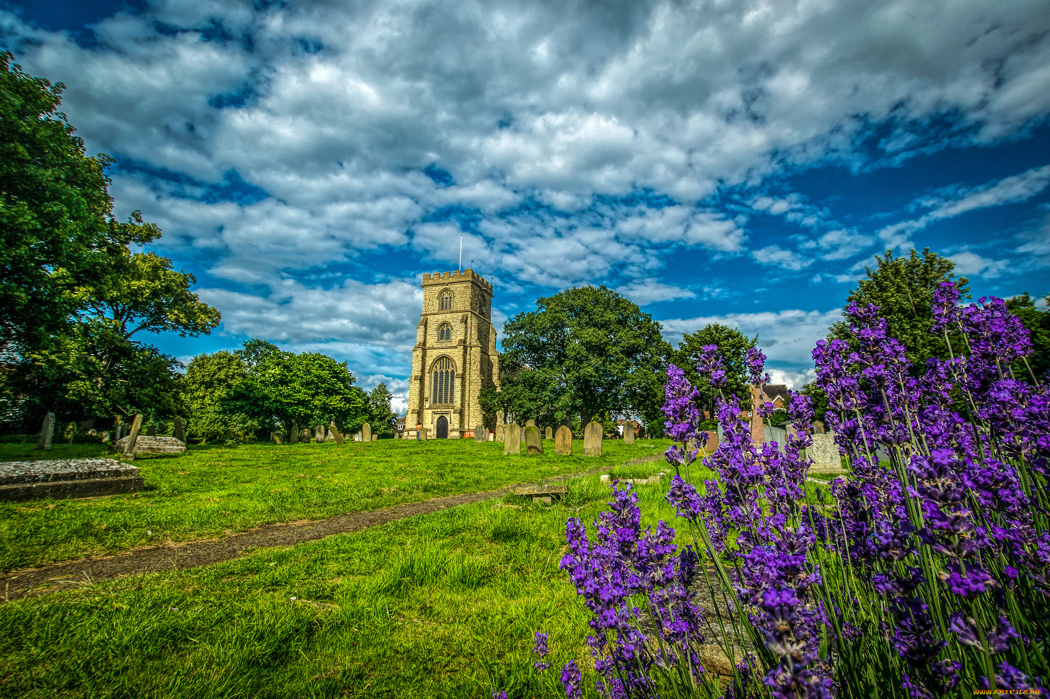 города, -, дворцы, , замки, , крепости, луг, башня