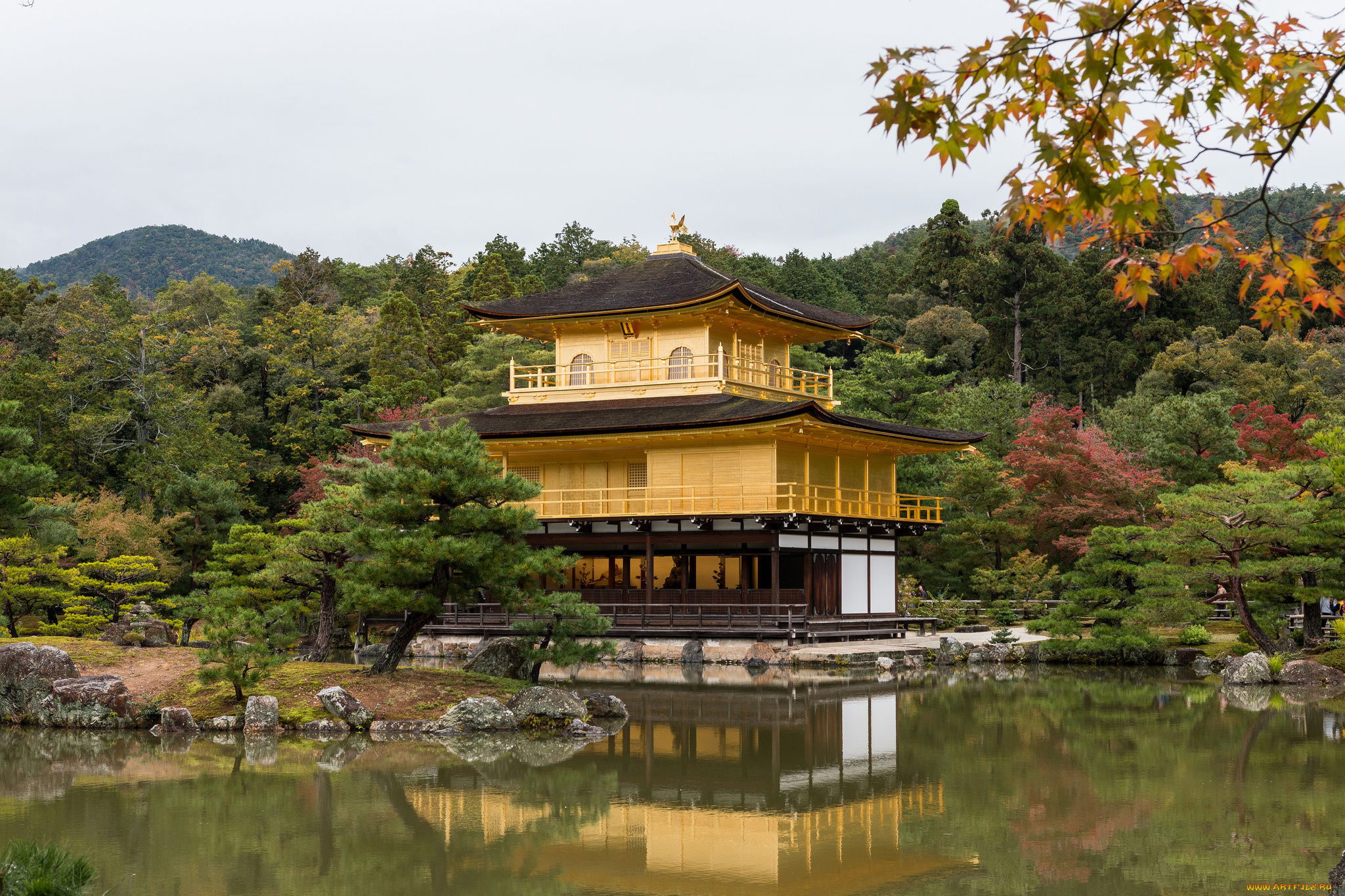kinkaku-ji, temple, города, -, буддийские, и, другие, храмы, парк, пруд, храм
