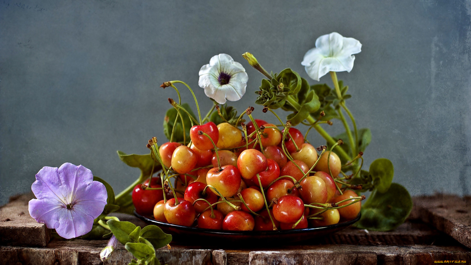 еда, вишня, , черешня, черешня, петуния, блюдо