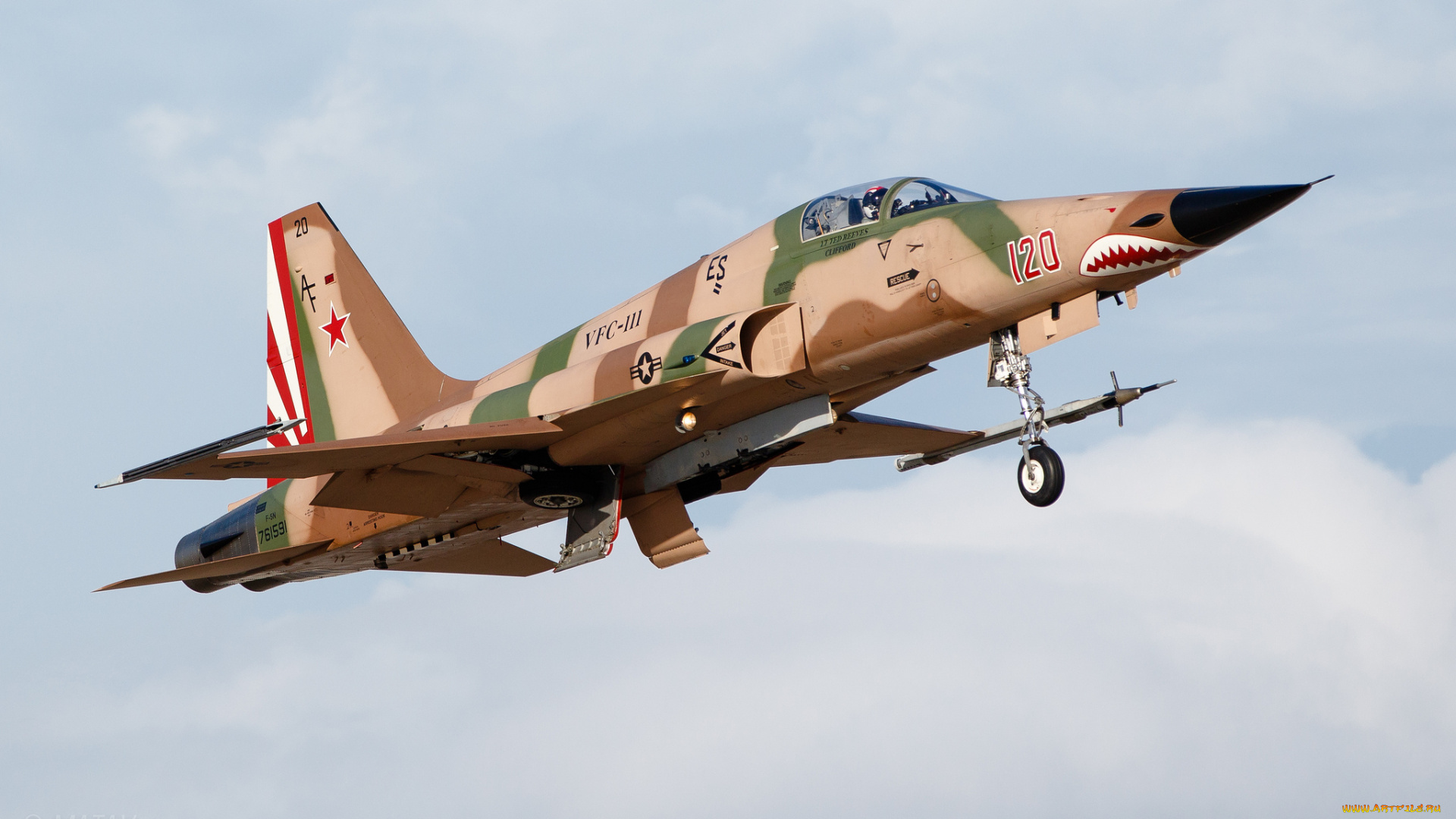 northrop, f-5n, tiger, авиация, боевые, самолёты, истребитель