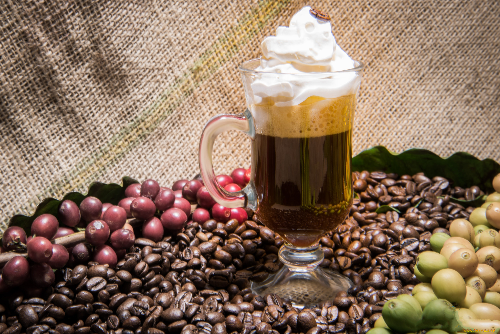 еда, кофе, , кофейные, зёрна