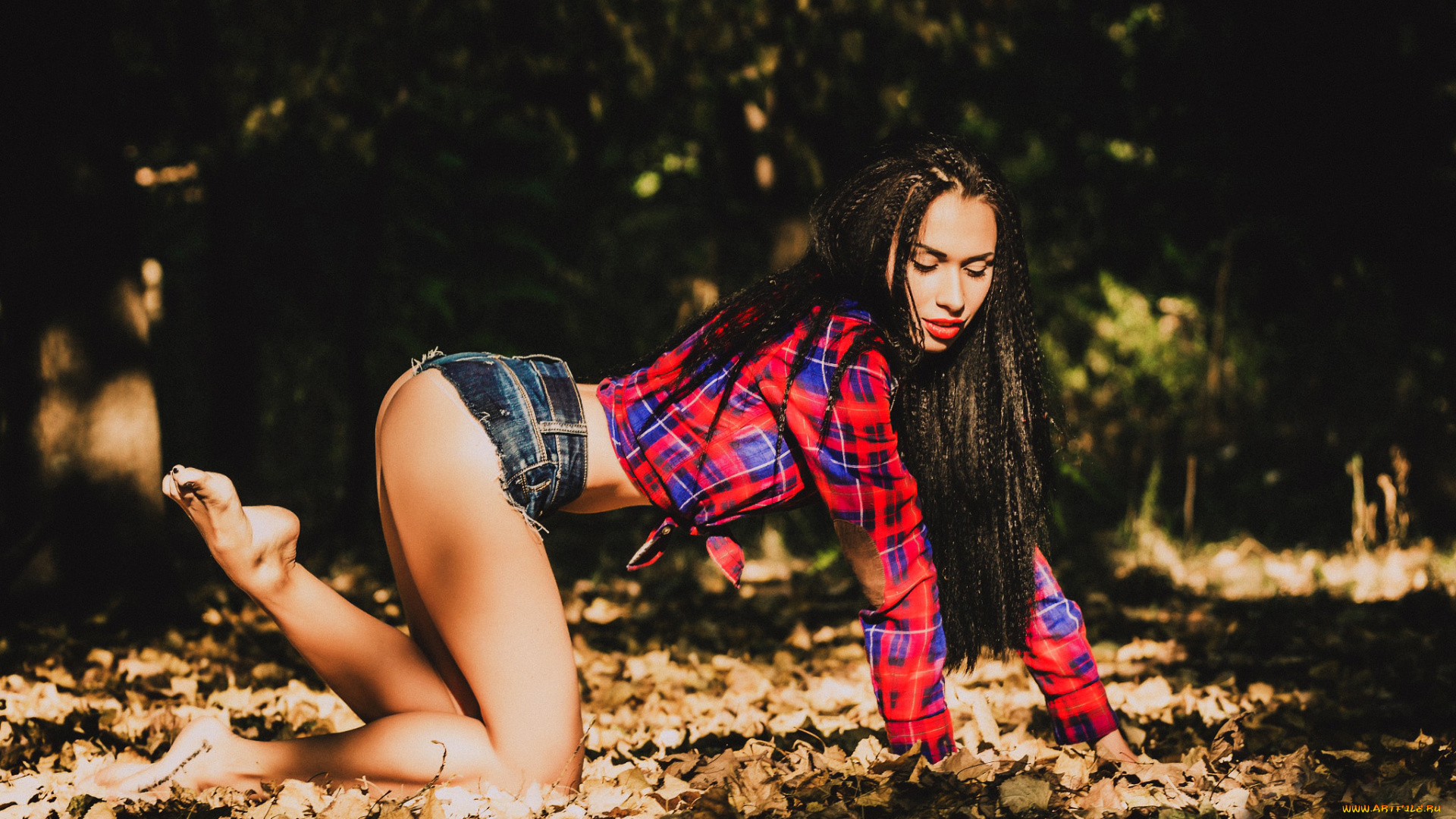 девушки, -unsort, , брюнетки, , шатенки, шорты, рубашка