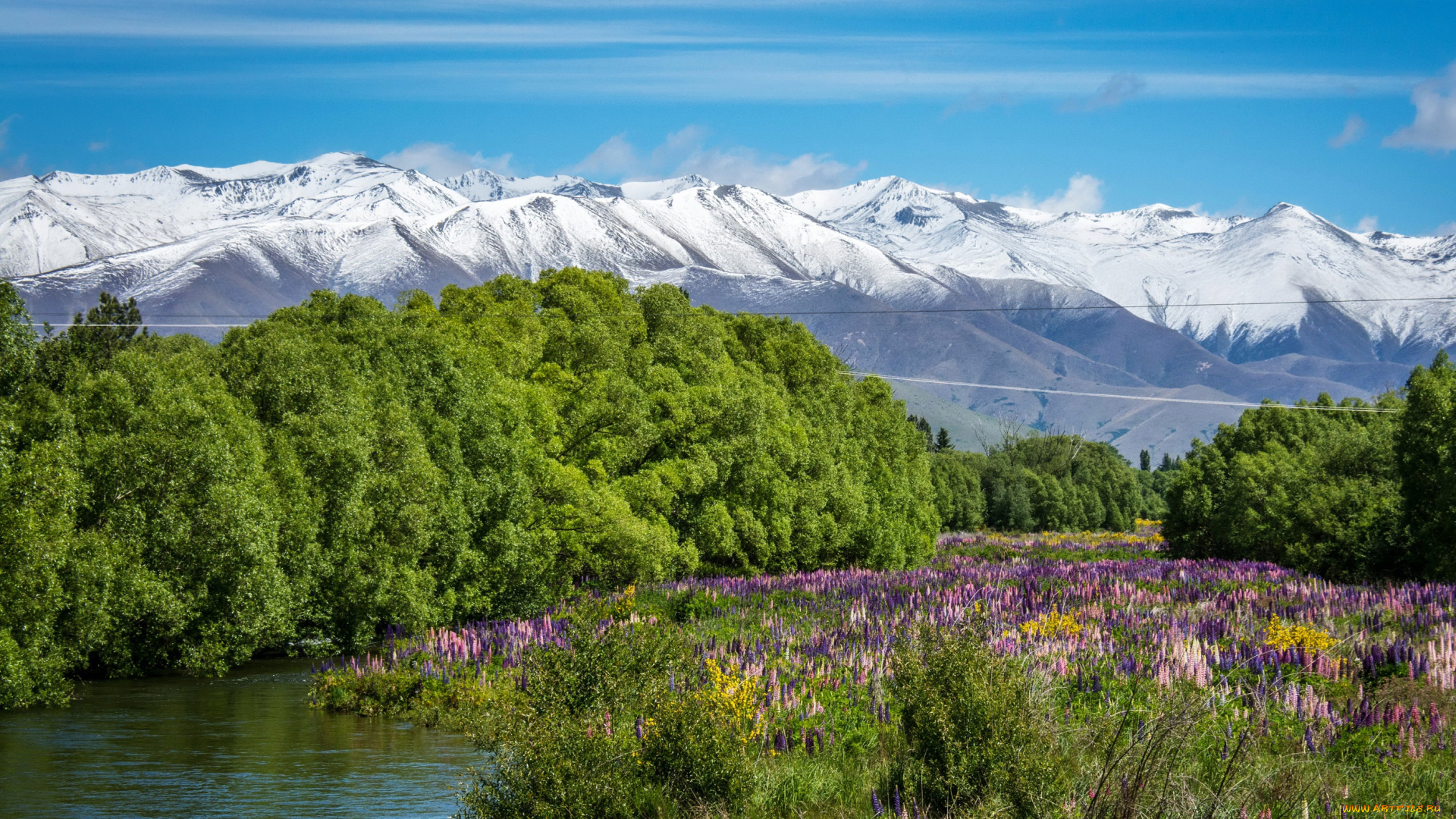 природа, горы, деревья, кусты, трава, солнце, цветы, зелень, снежные, вершины, новая, зеландия, река, небо