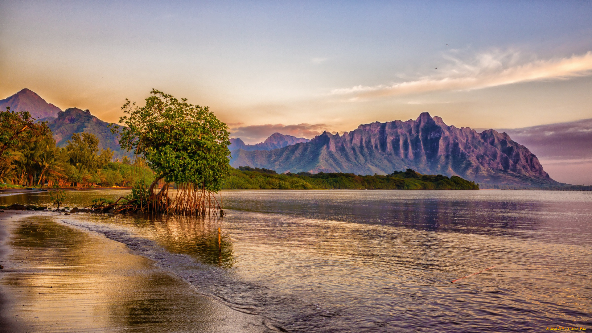 природа, горы, небо, птицы, сша, пальмы, тропики, скалы, побережье, гавайи, деревья, пляж, море