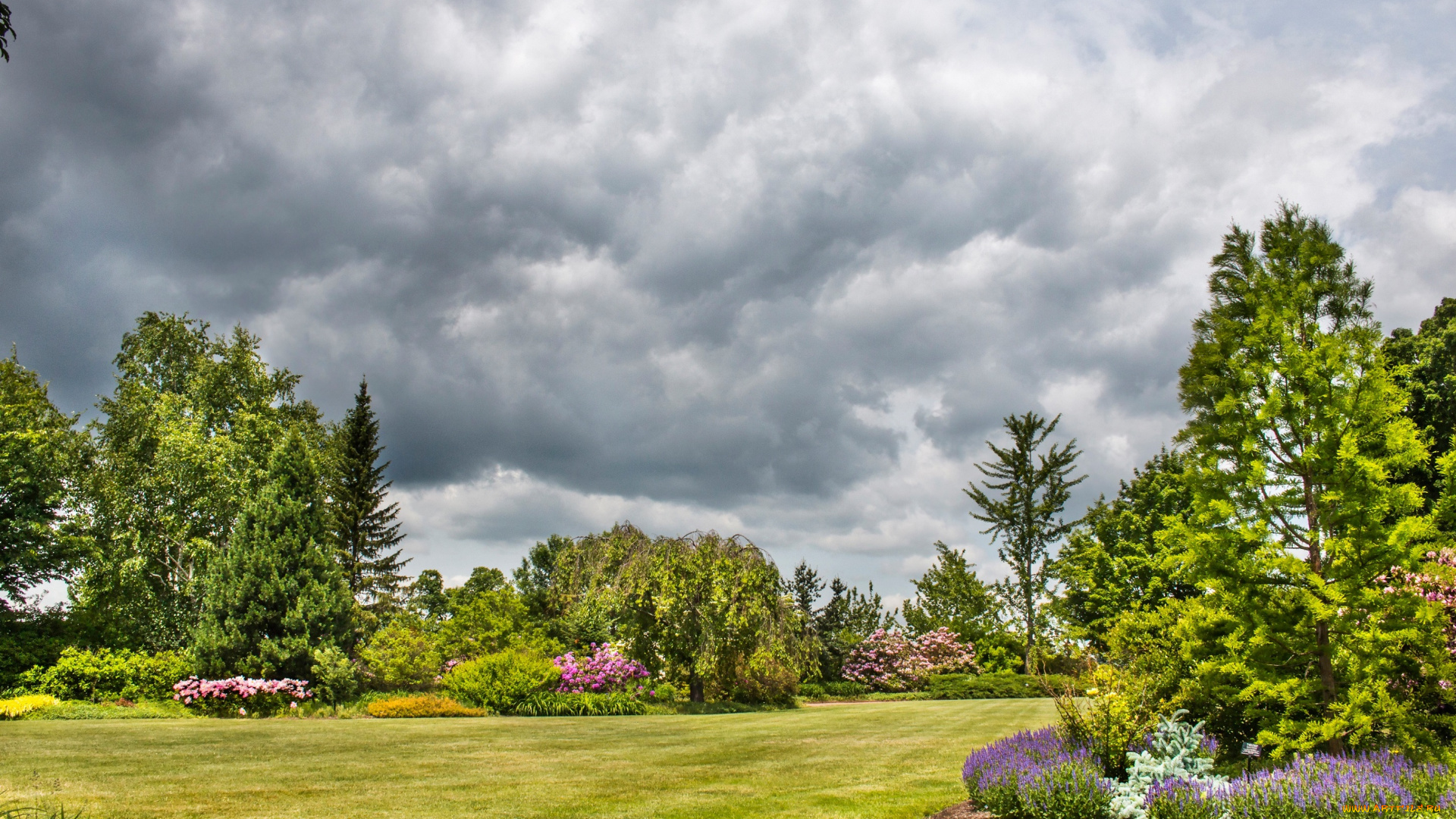 природа, парк, сад, облака, трава, небо, зелень, газон, цветы, деревья