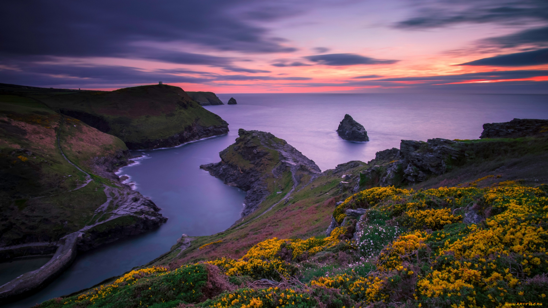 природа, побережье, великобритания, горизонт, склон, цветы, камни, скалы, закат, небо, море