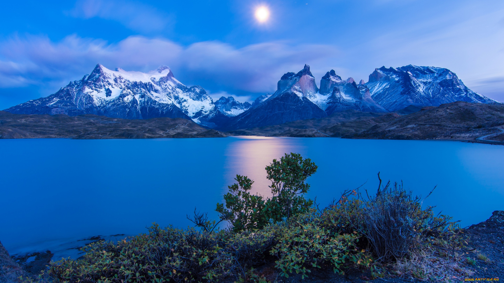 природа, реки, озера, Чили, кусты, озеро, снежные, вершины, torres, del, paine, горы