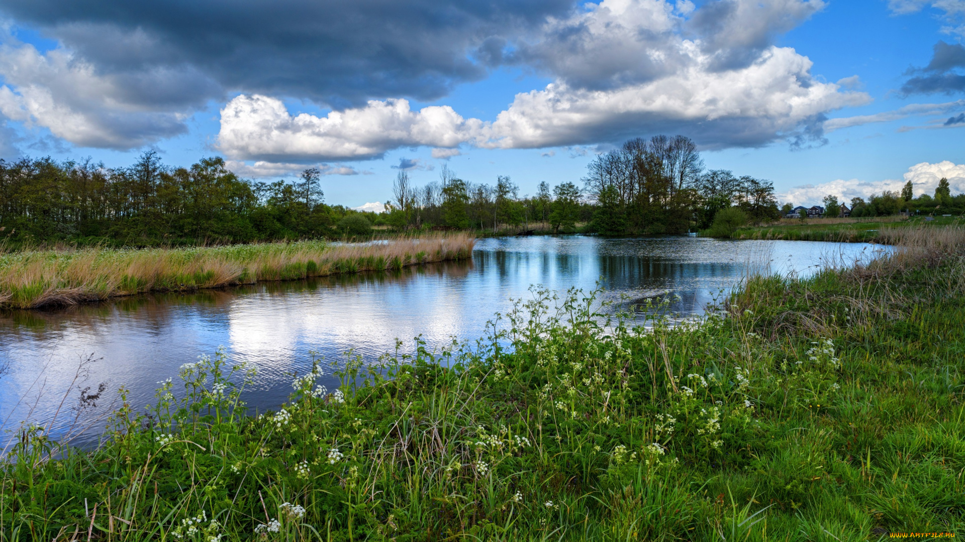 природа, реки, озера, twiske, домики, камыши, река, деревья, кусты, нидерланды, облака, трава, небо, зелень