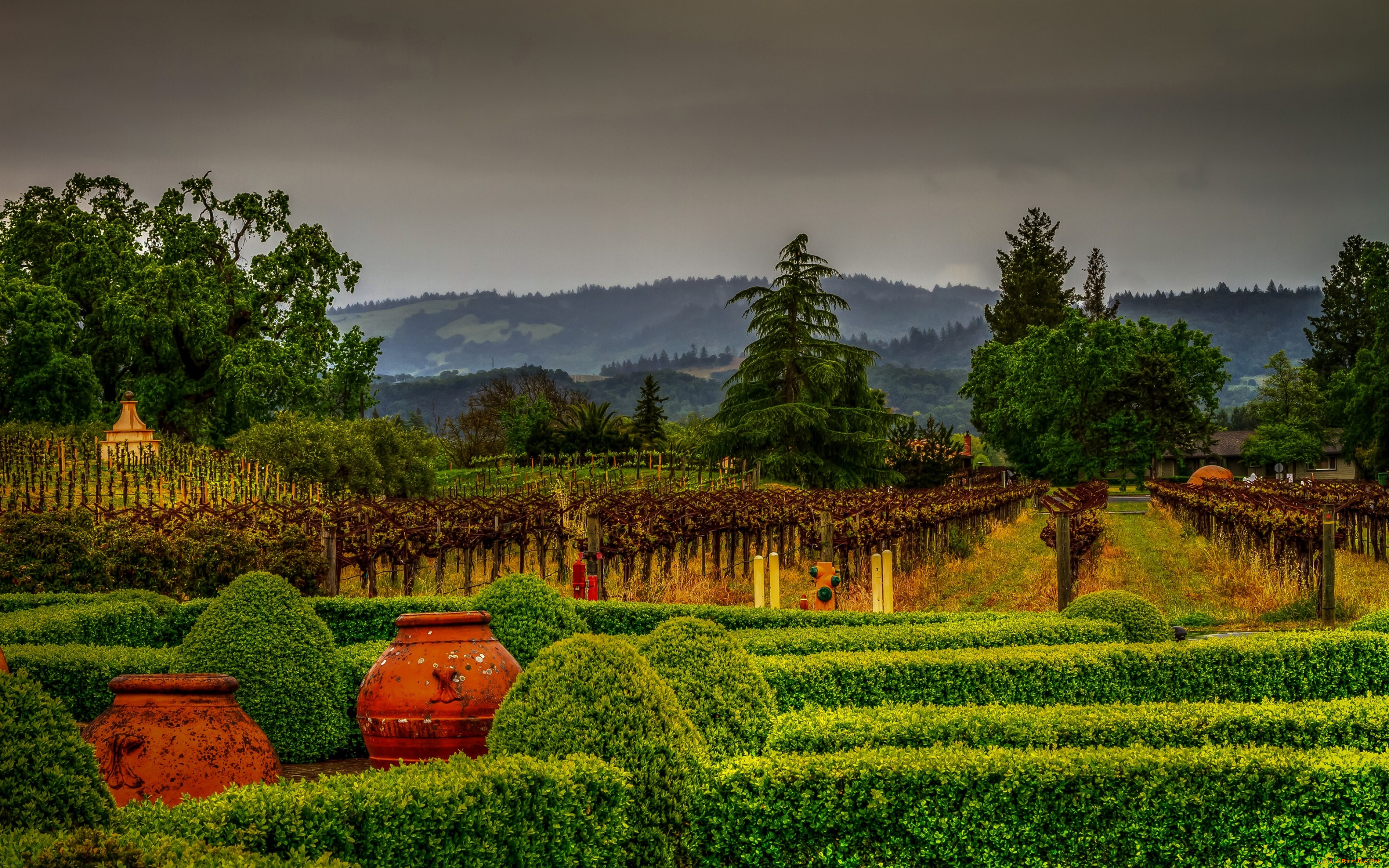 природа, парк, кусты, сша, калифорния, сад