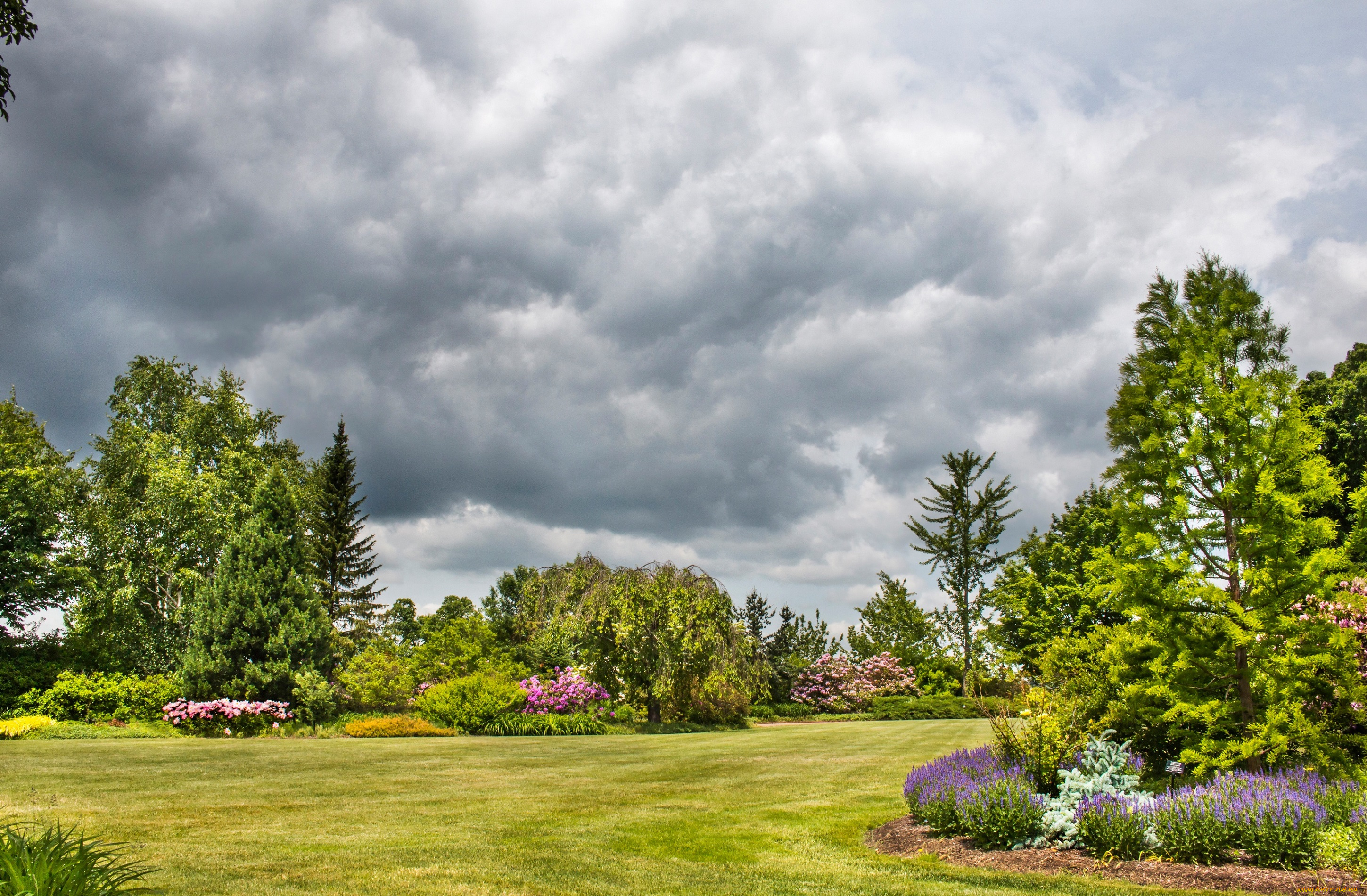 природа, парк, сад, облака, трава, небо, зелень, газон, цветы, деревья
