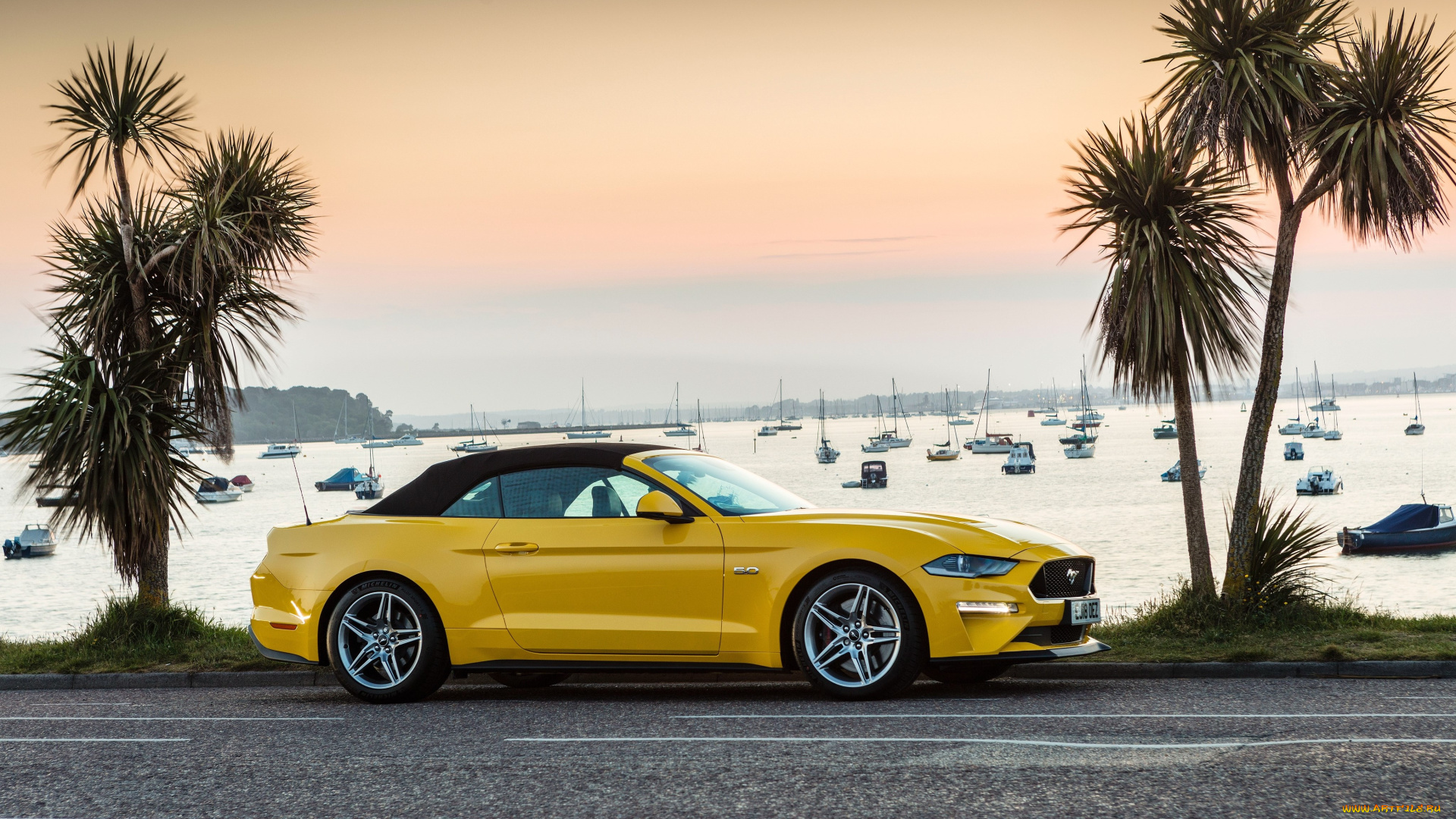 автомобили, mustang, ford