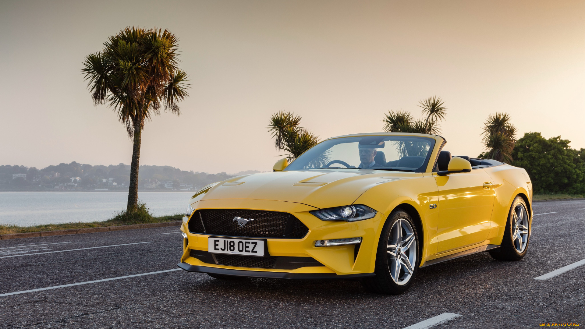 автомобили, mustang, ford