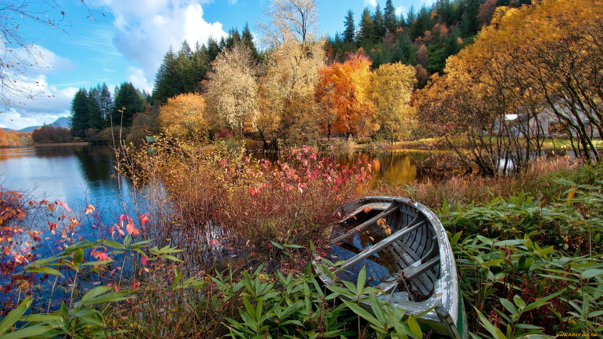 корабли, лодки, , шлюпки, лодка, озеро, водоем, природа, лес