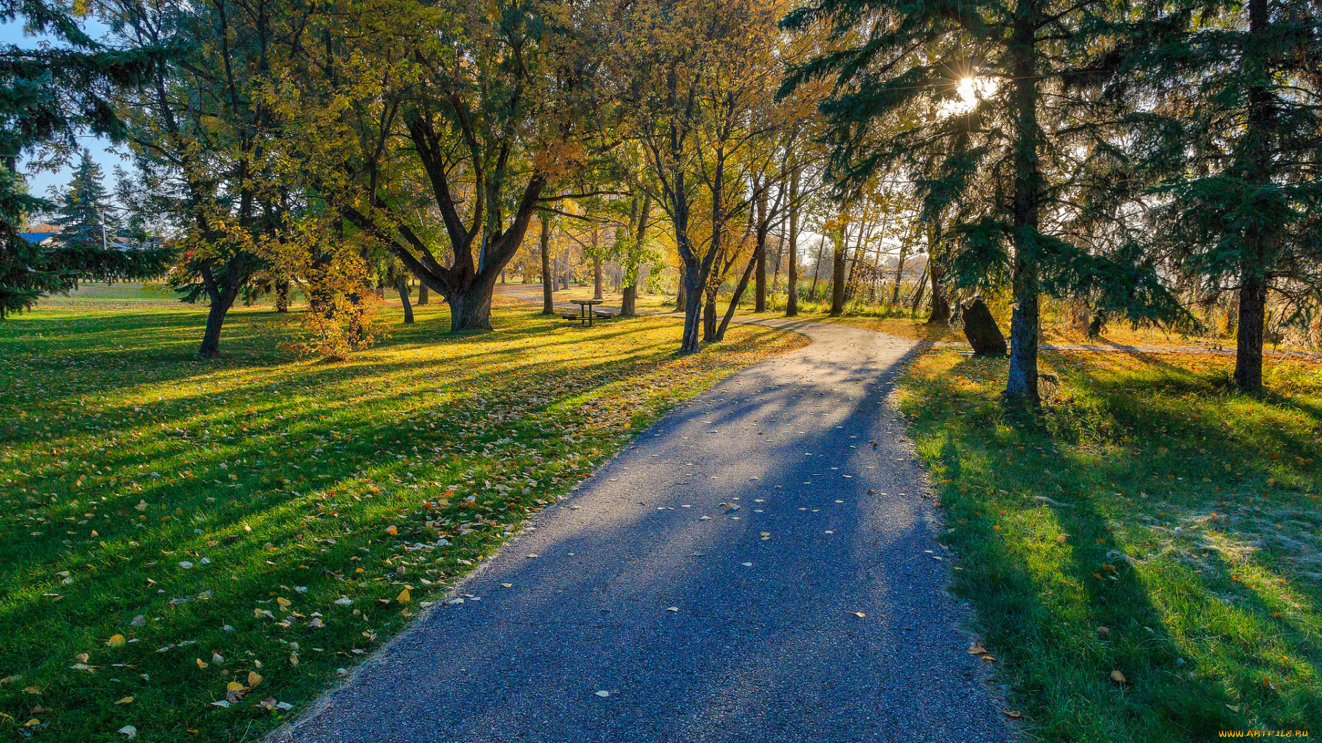 природа, дороги, простор