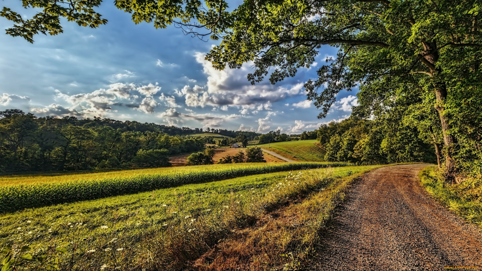 природа, дороги, простор