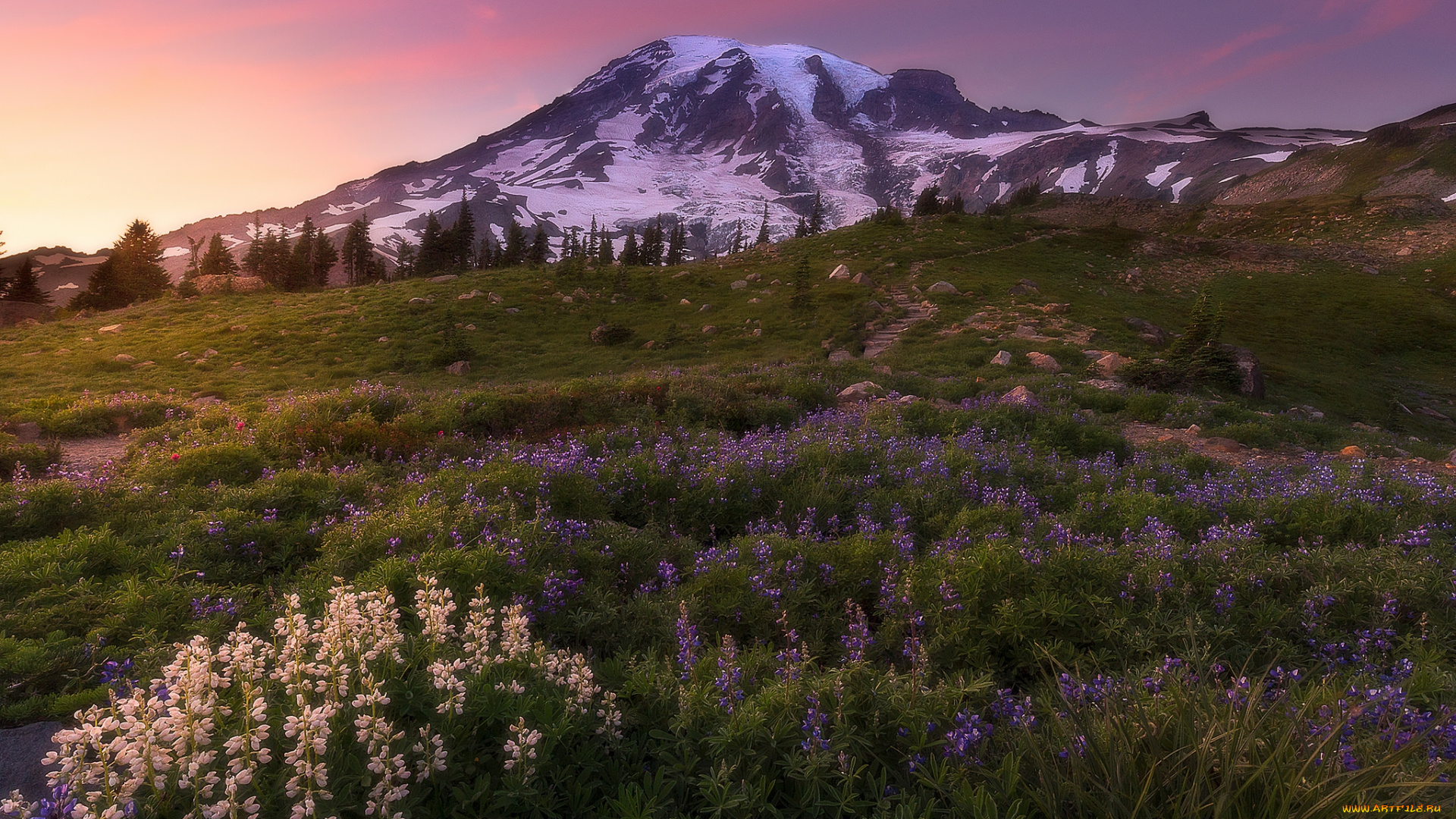 природа, горы, простор