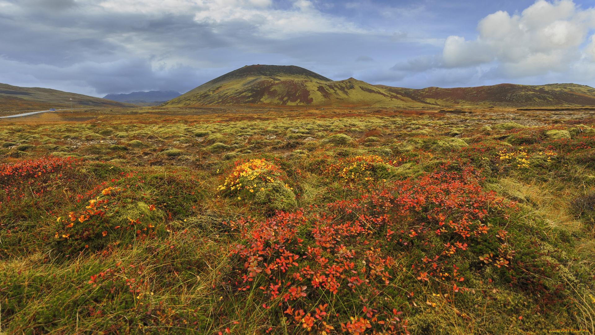 природа, луга, простор