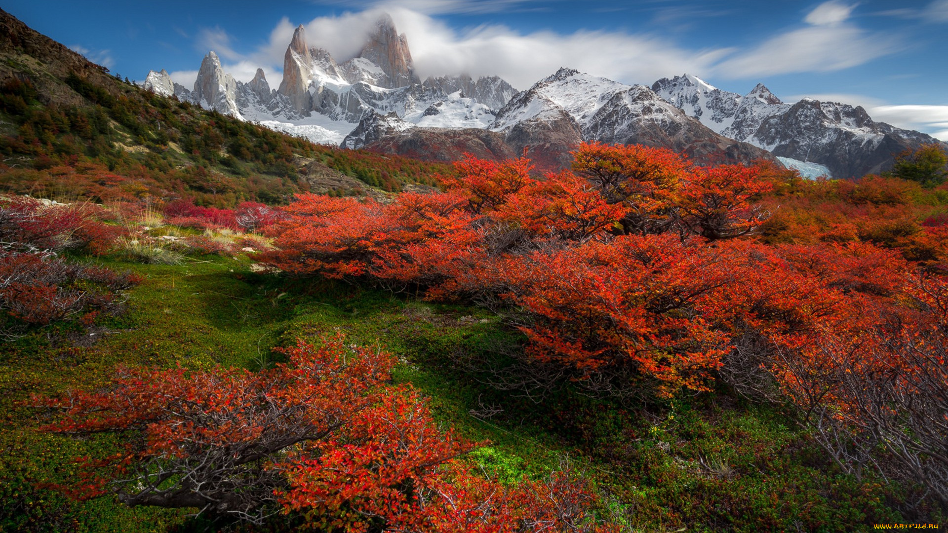 природа, луга, простор