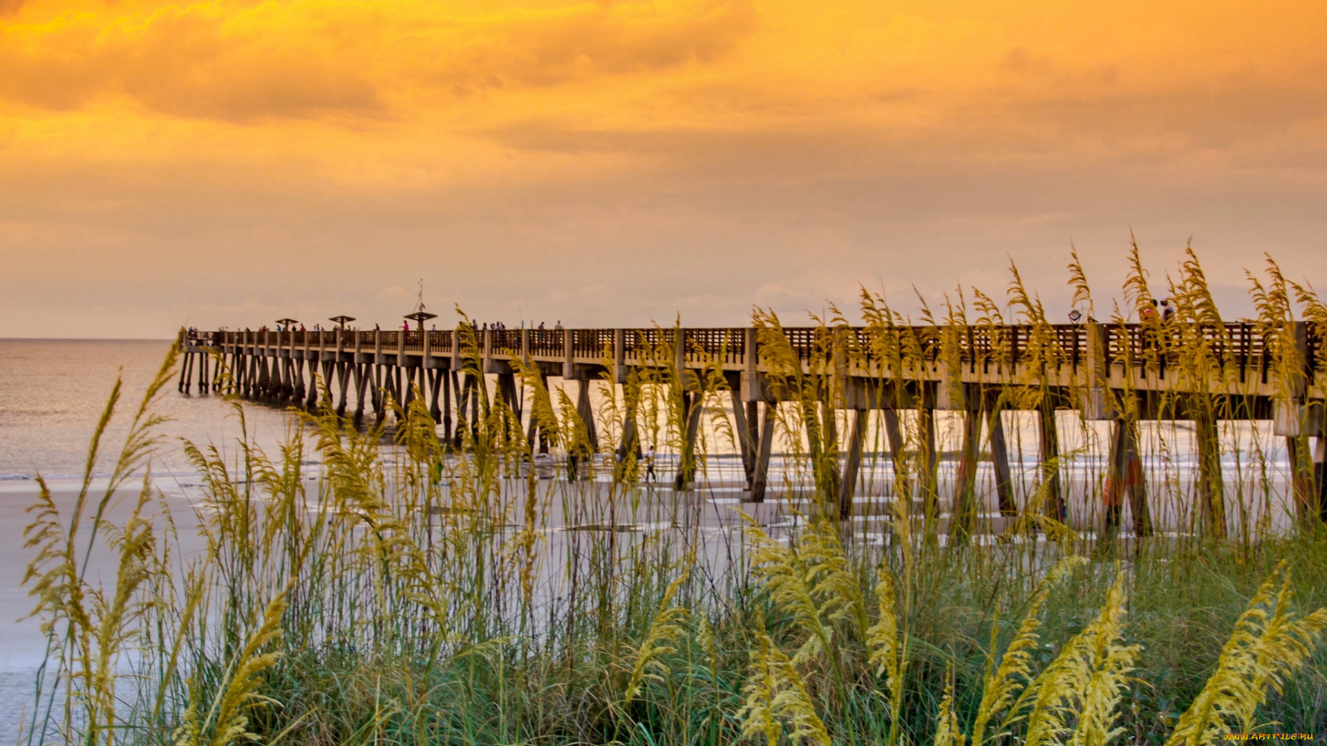 природа, побережье, простор