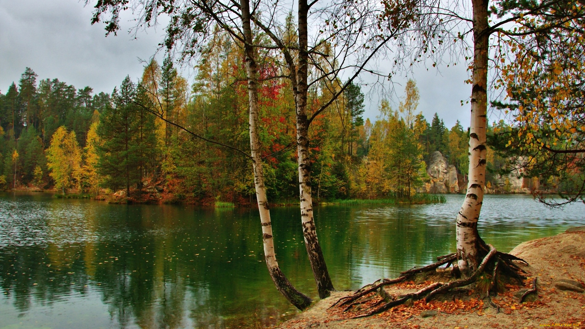 природа, реки, озера, лес, деревья, река