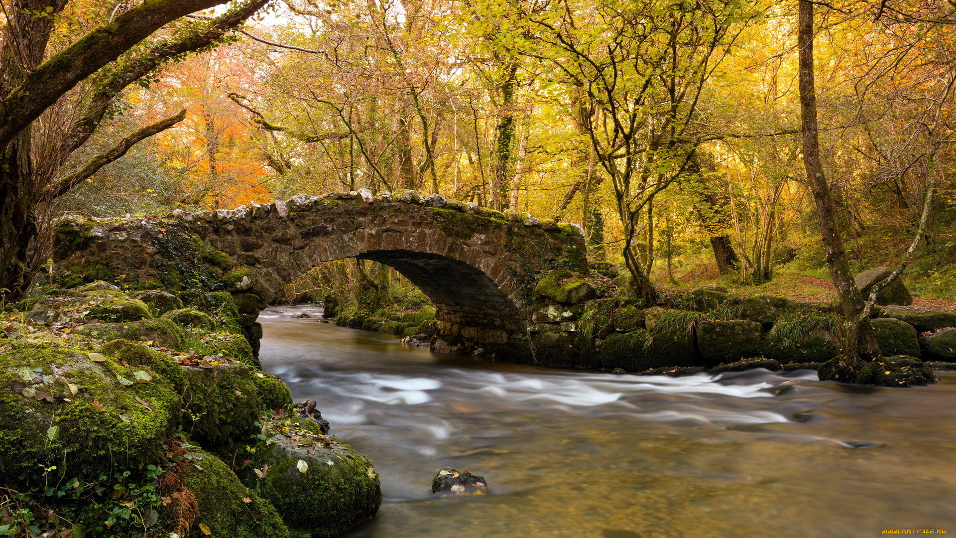 природа, реки, озера, лес, вода, мост, водоем, деревья