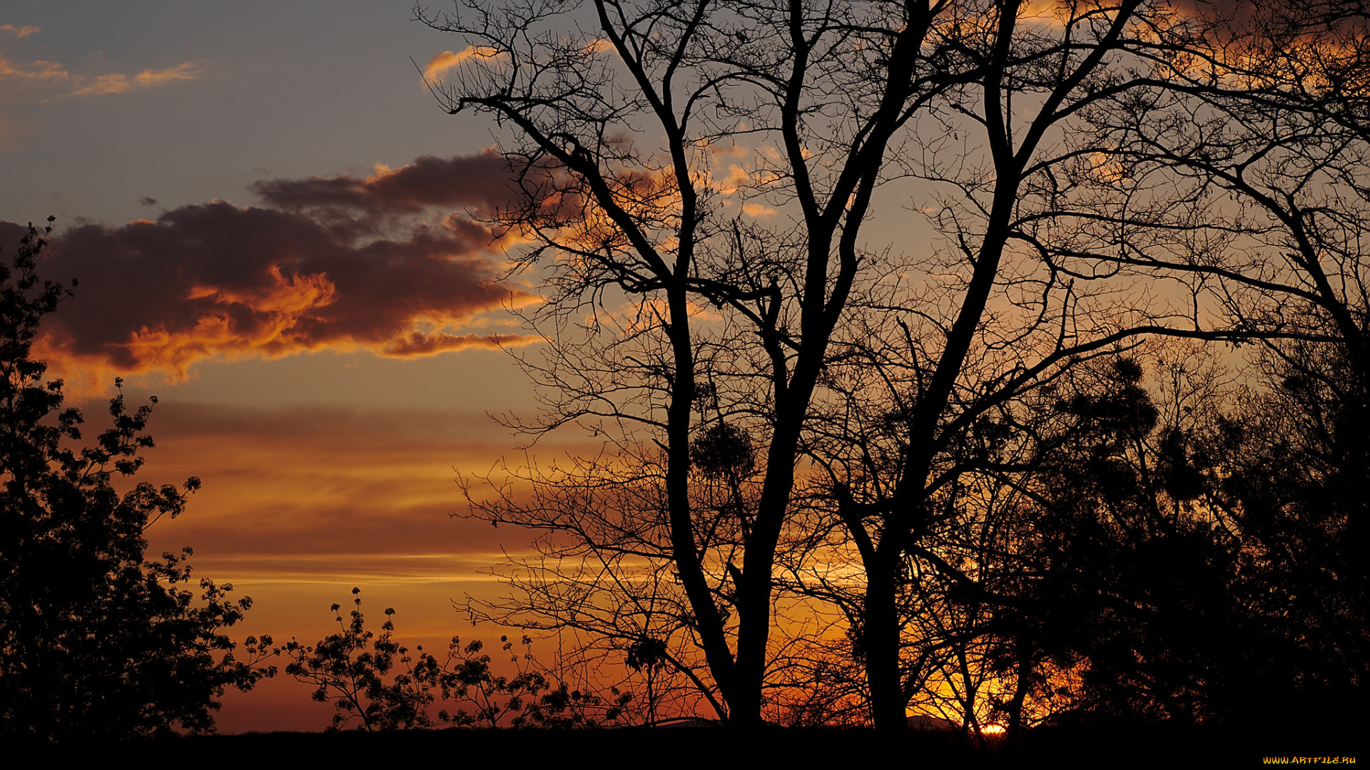 природа, восходы, закаты, простор