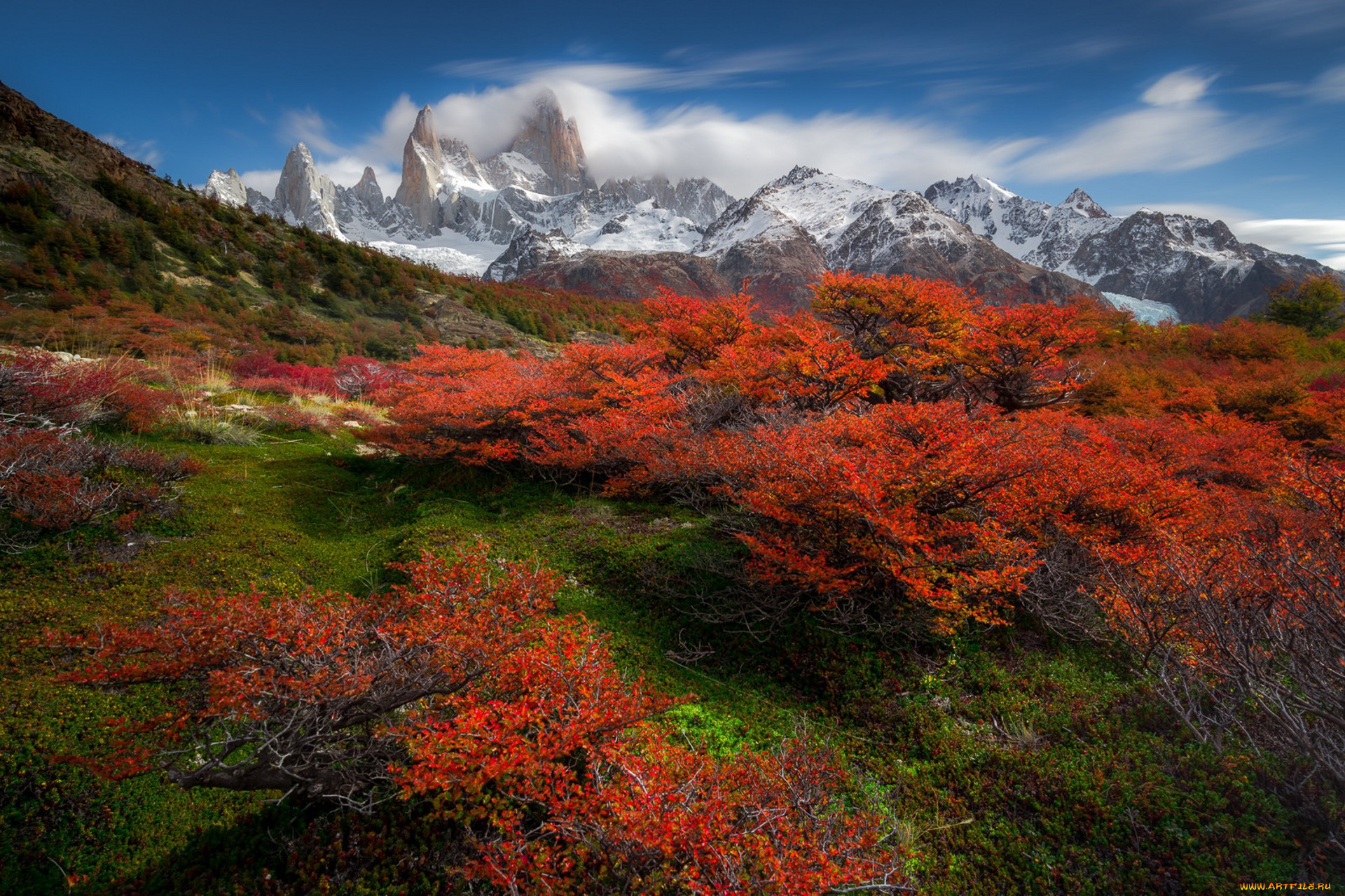 природа, луга, простор