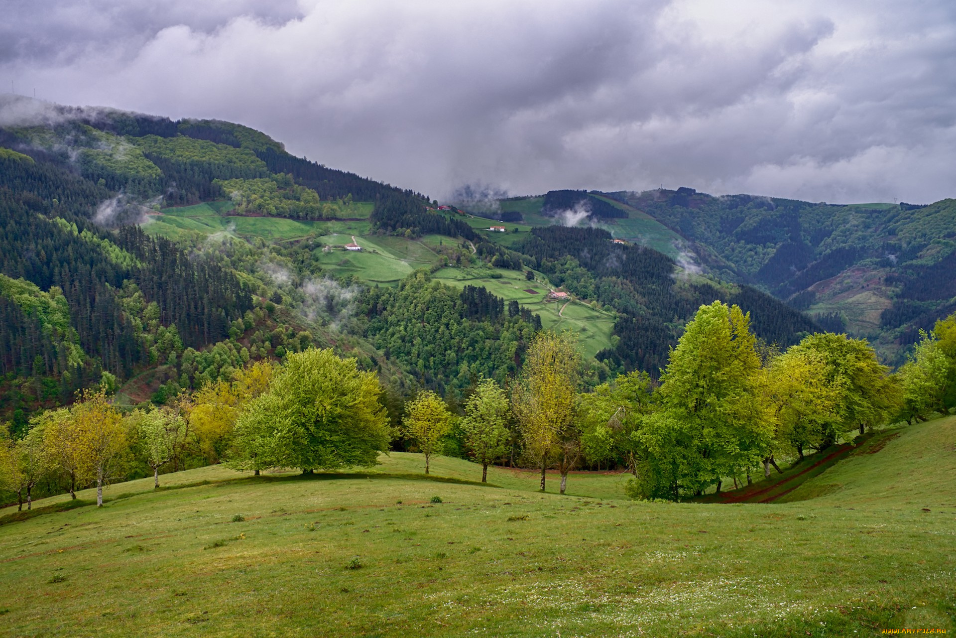 природа, пейзажи, простор