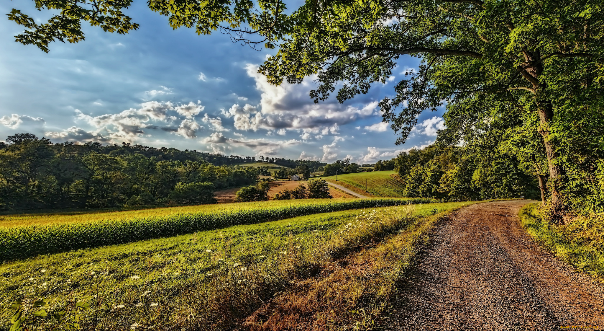 природа, дороги, простор