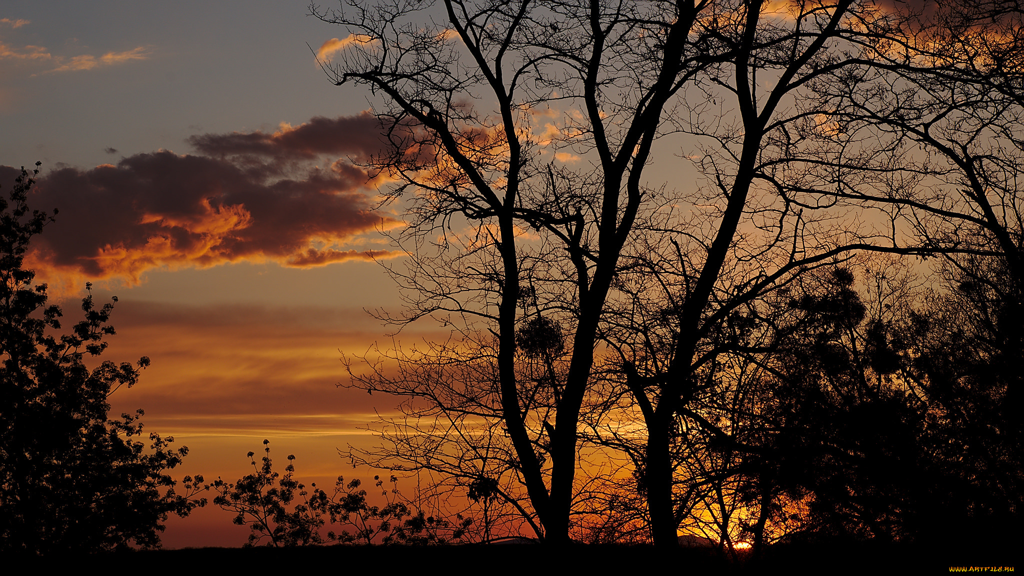 природа, восходы, закаты, простор