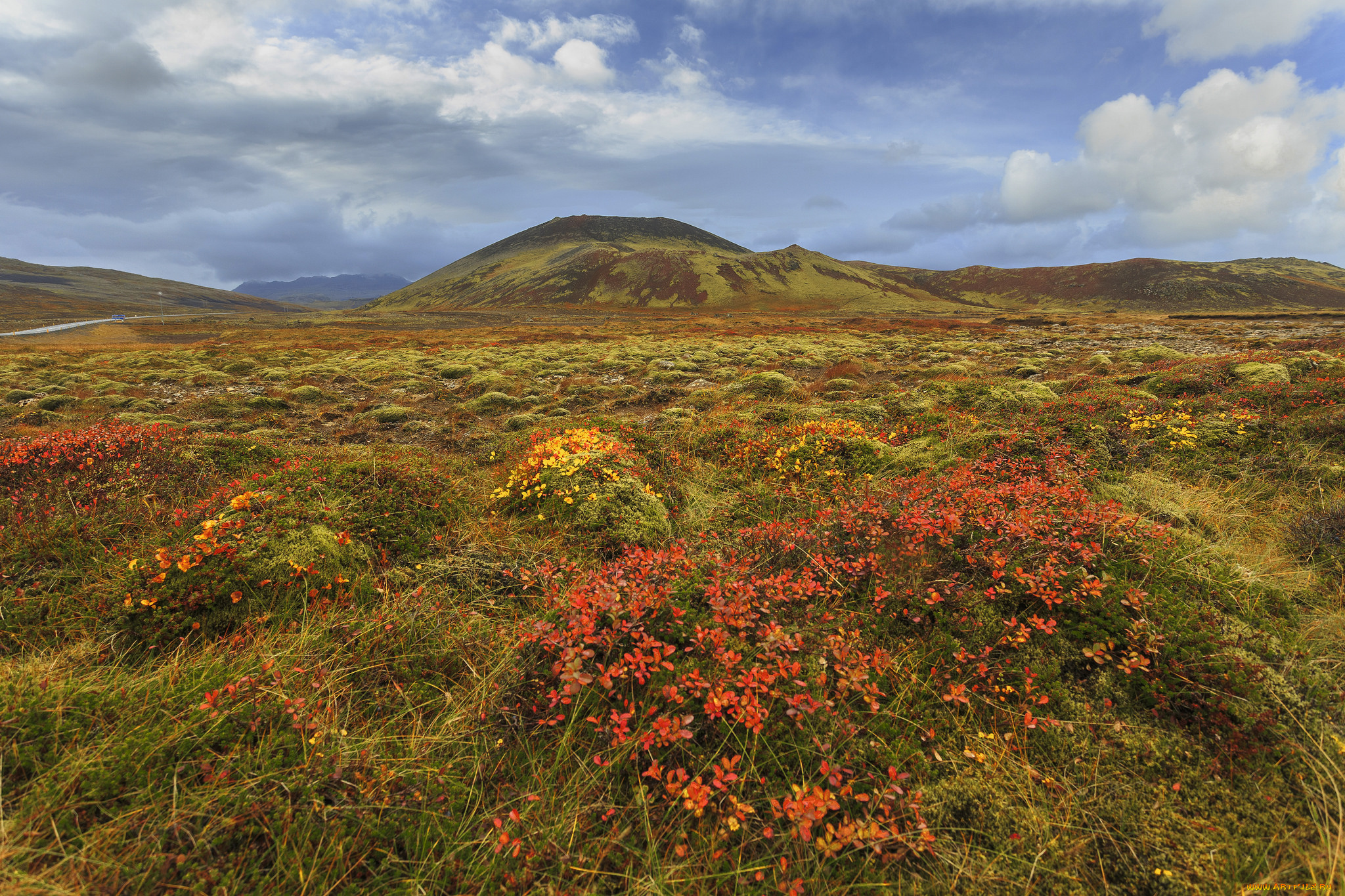 природа, луга, простор