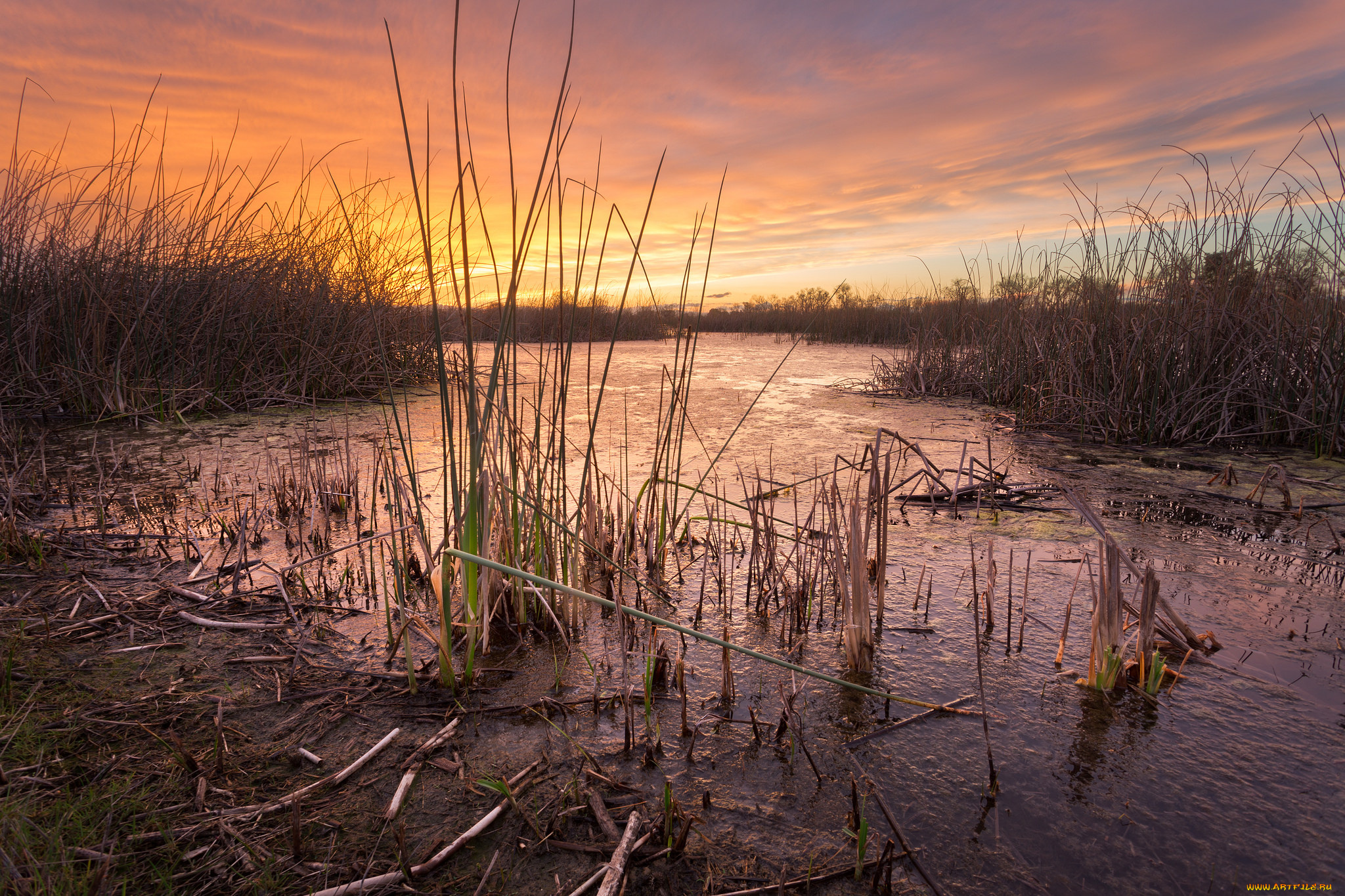 природа, реки, озера, простор