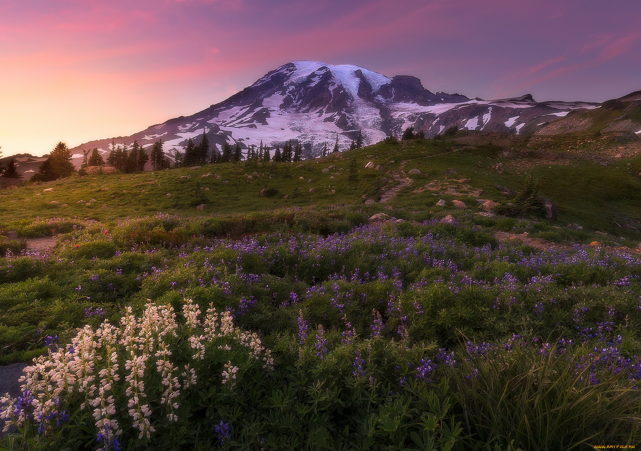 природа, горы, простор