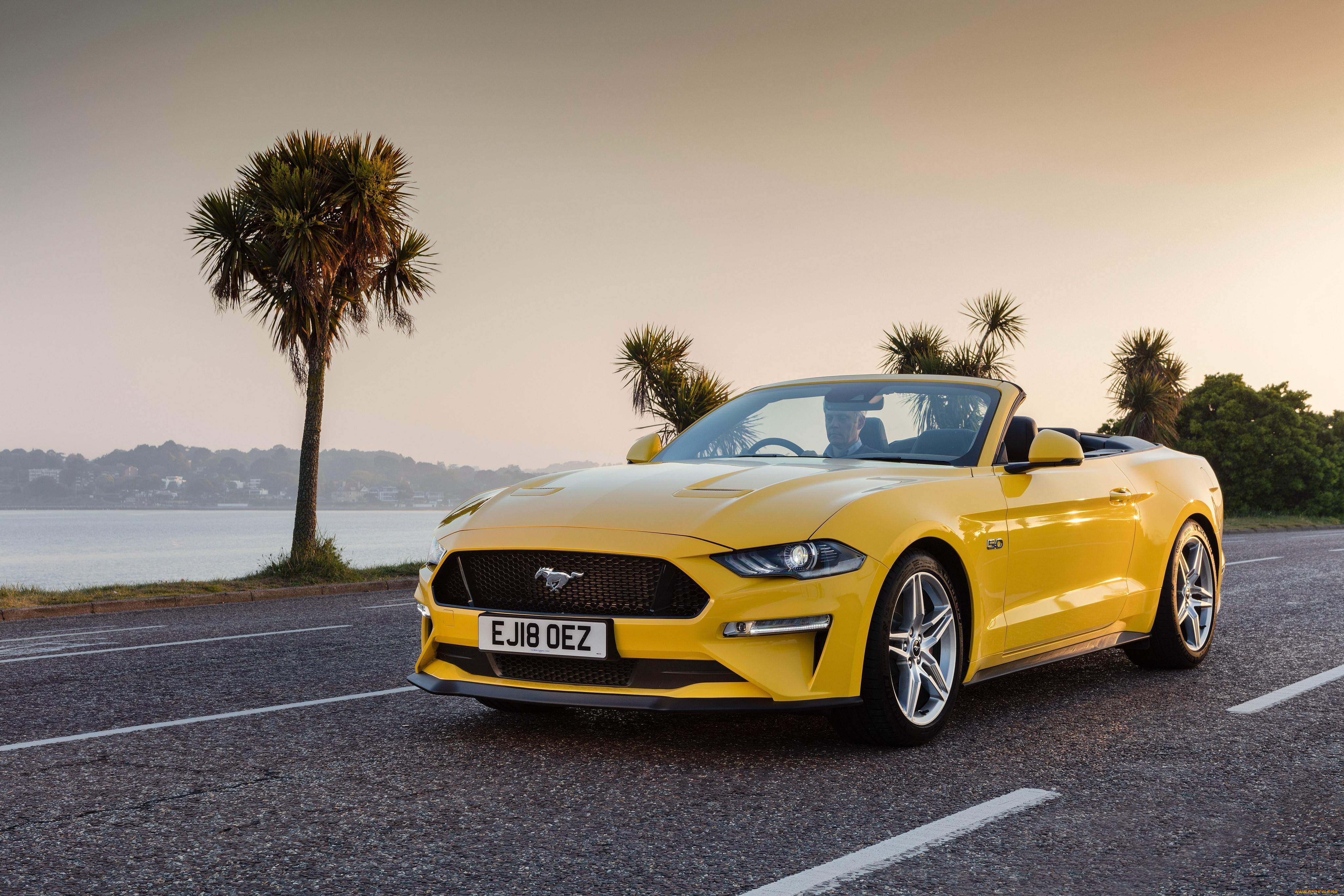 автомобили, mustang, ford