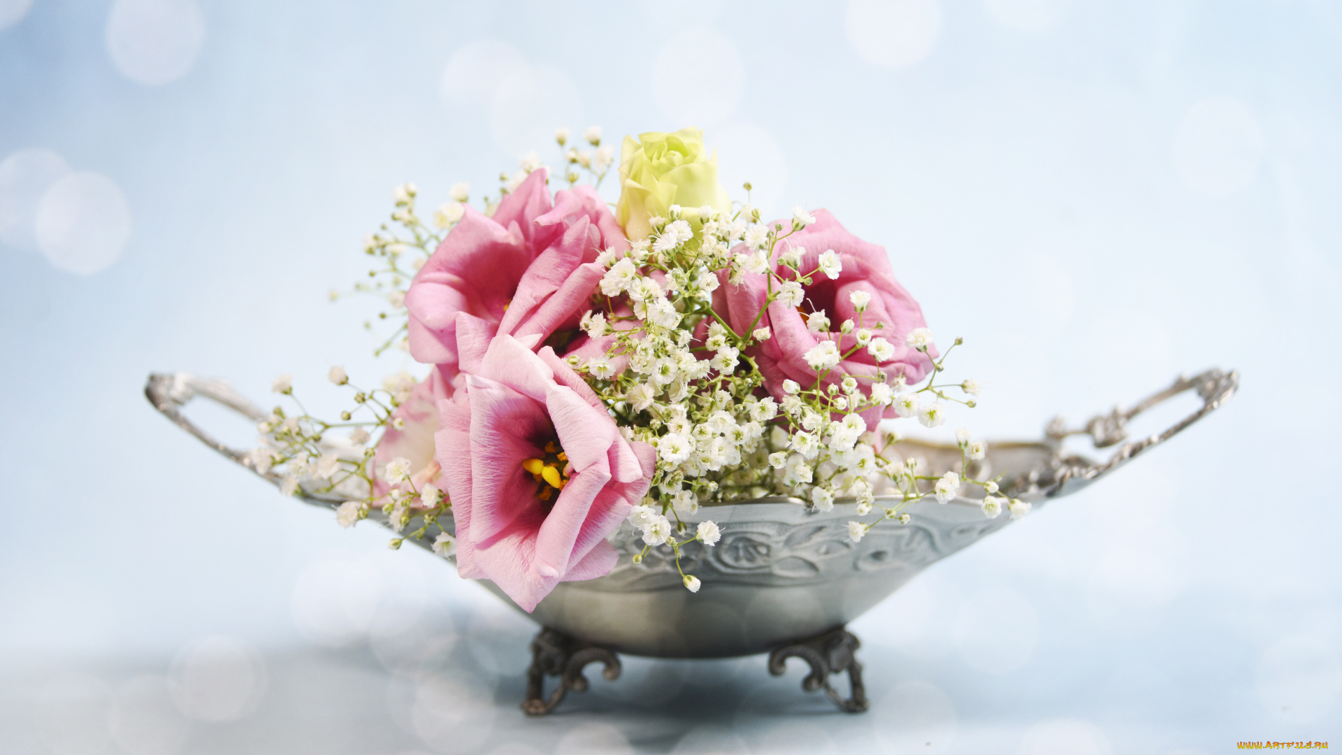 цветы, разные, вместе, эустома