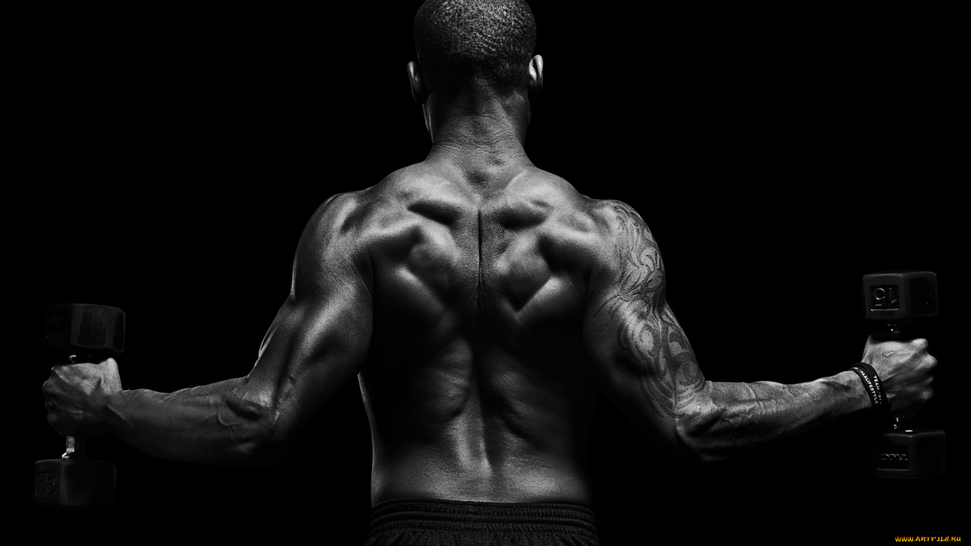 спорт, body, building, мужчина, гантели, спина, татуировка