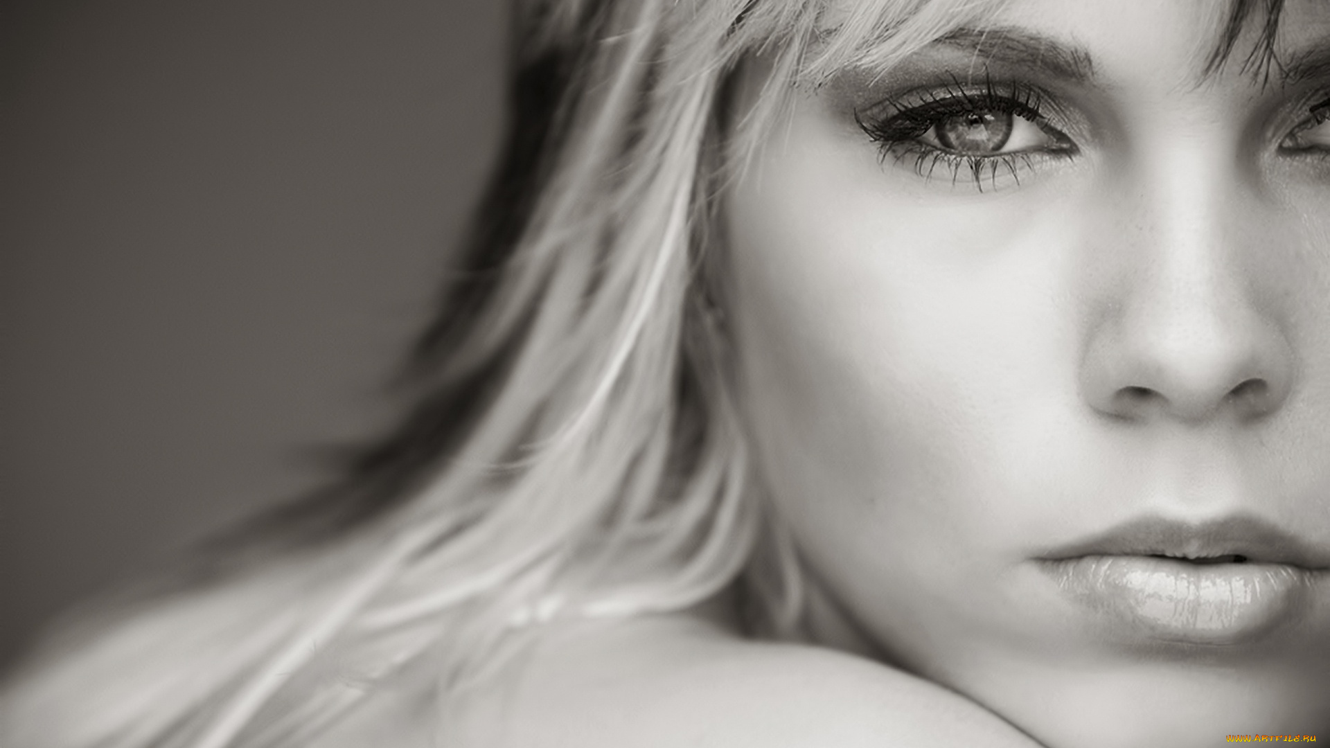 музыка, samantha, fox, певица, блондинка, лицо, черно-белая