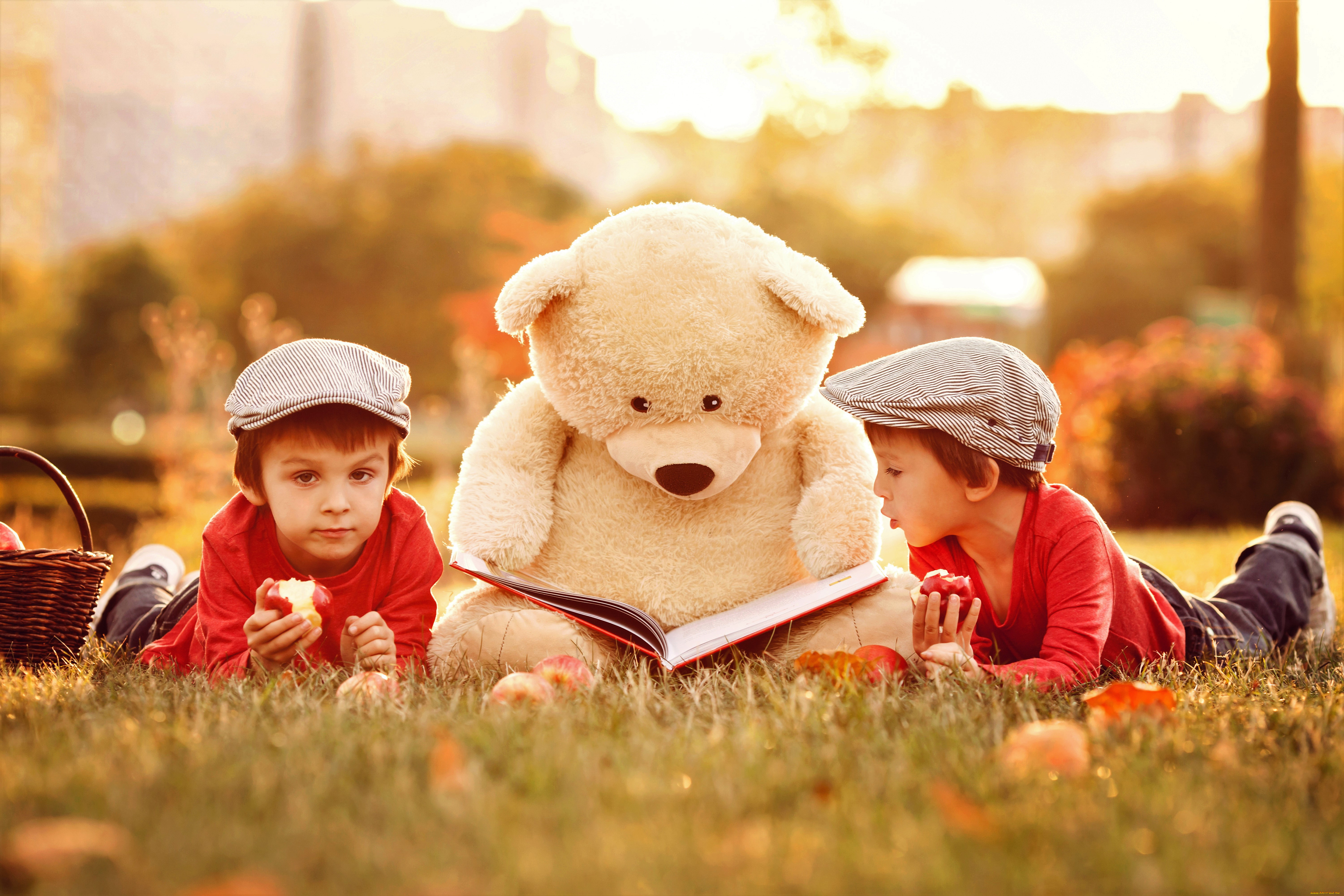 разное, дети, мальчики, мишка, книга, пикник, лужайка