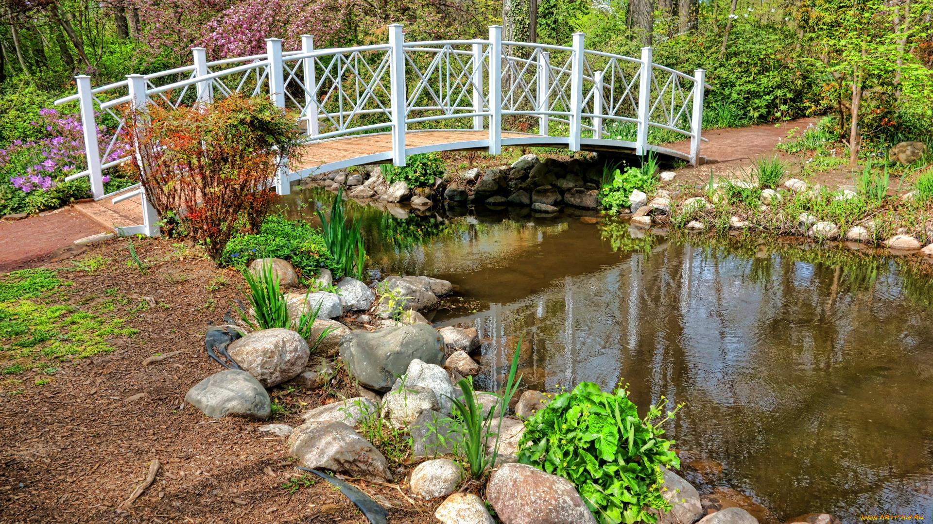 природа, парк, водоем, мостик