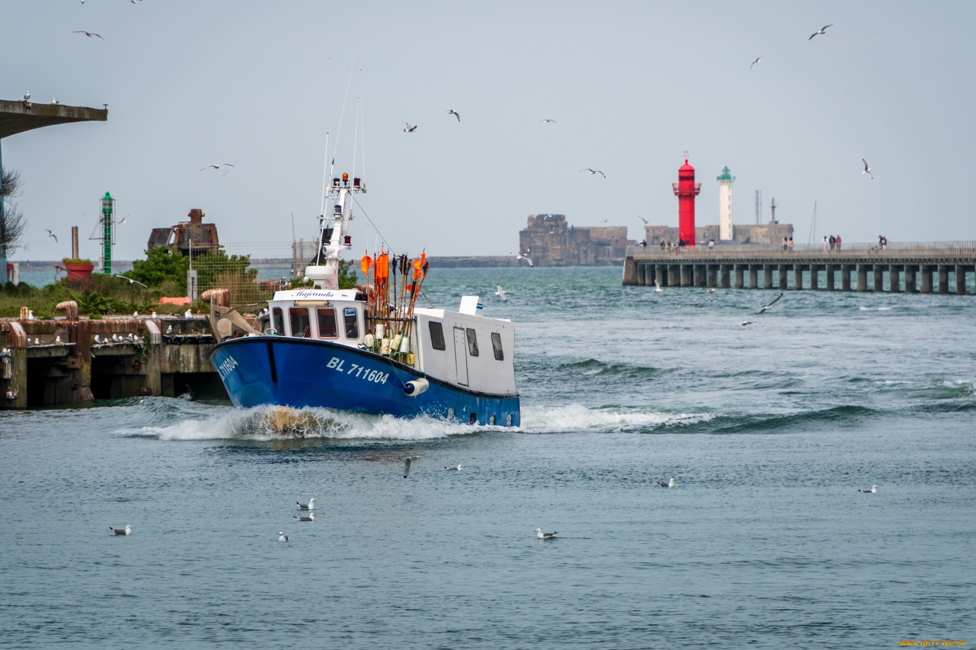 корабли, траулеры, , сейнеры, , плавбазы, рыболовное, судно