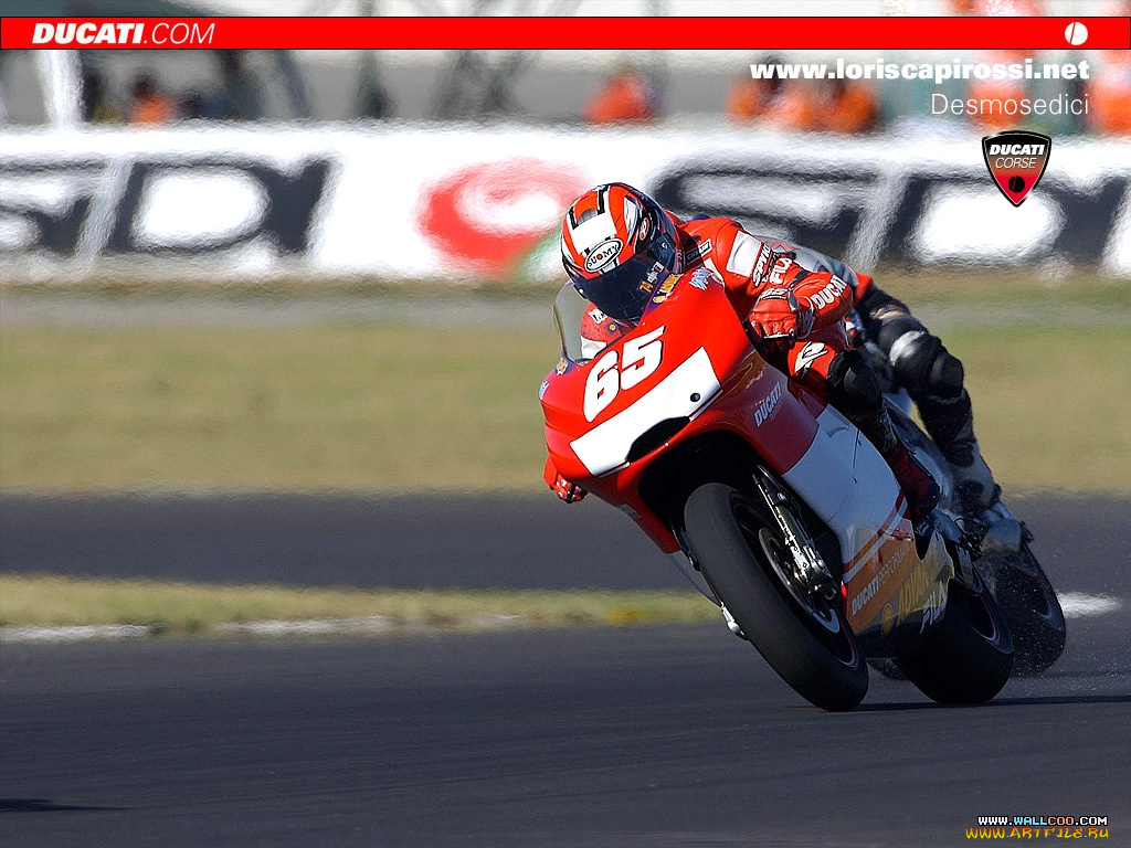 спорт, мотоспорт