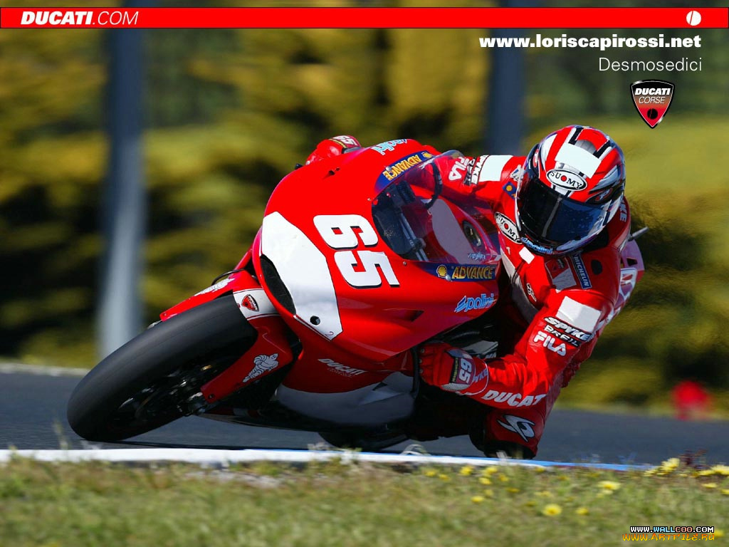 спорт, мотоспорт