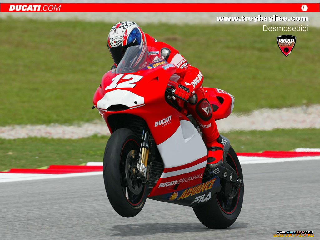 спорт, мотоспорт