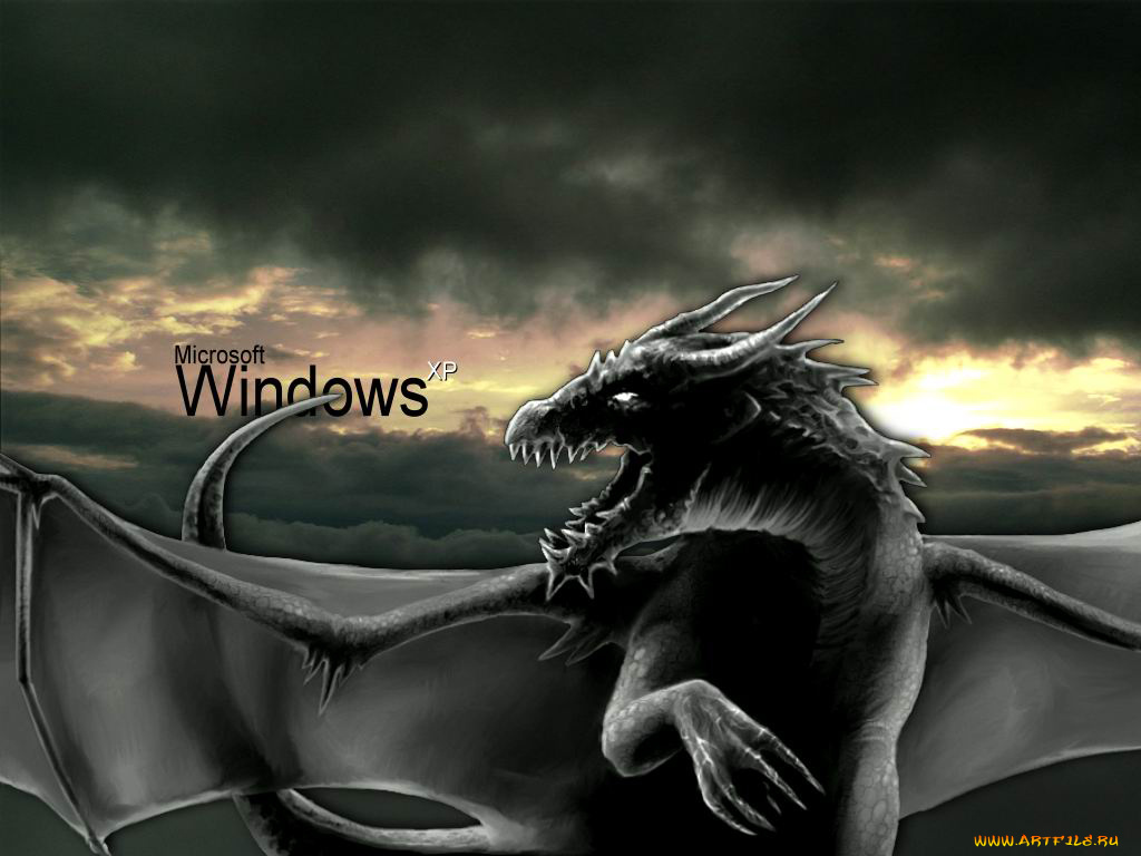 компьютеры, windows, xp