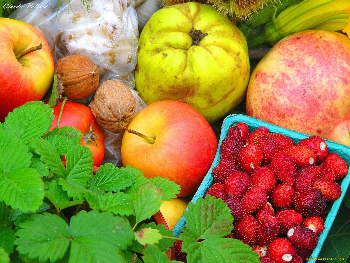 еда, фрукты, ягоды